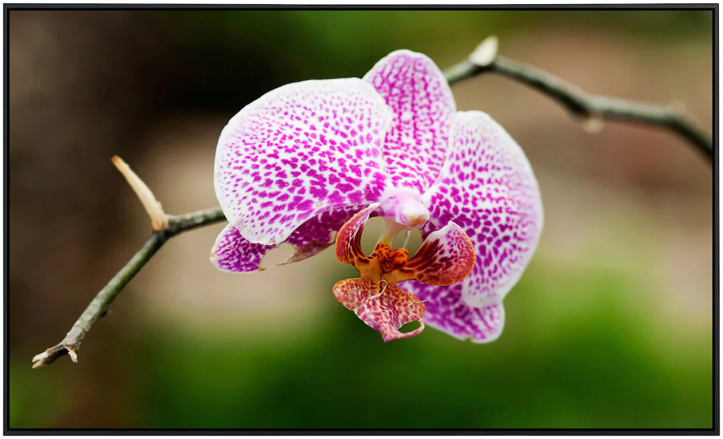 Papermoon Infrarotheizung »Blume«, sehr angenehme Strahlungswärme günstig online kaufen