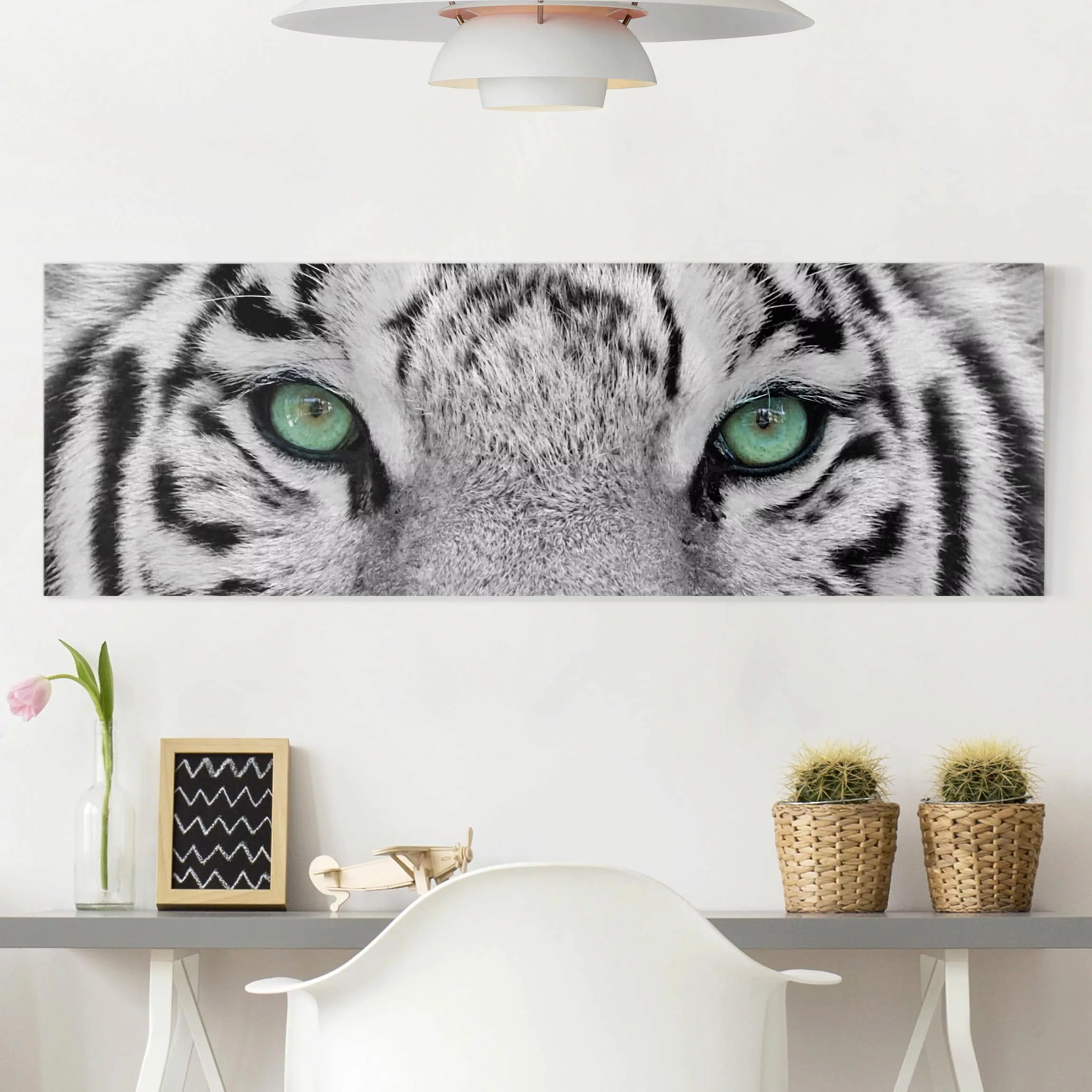 Leinwandbild Tiere - Panorama Weißer Tiger günstig online kaufen