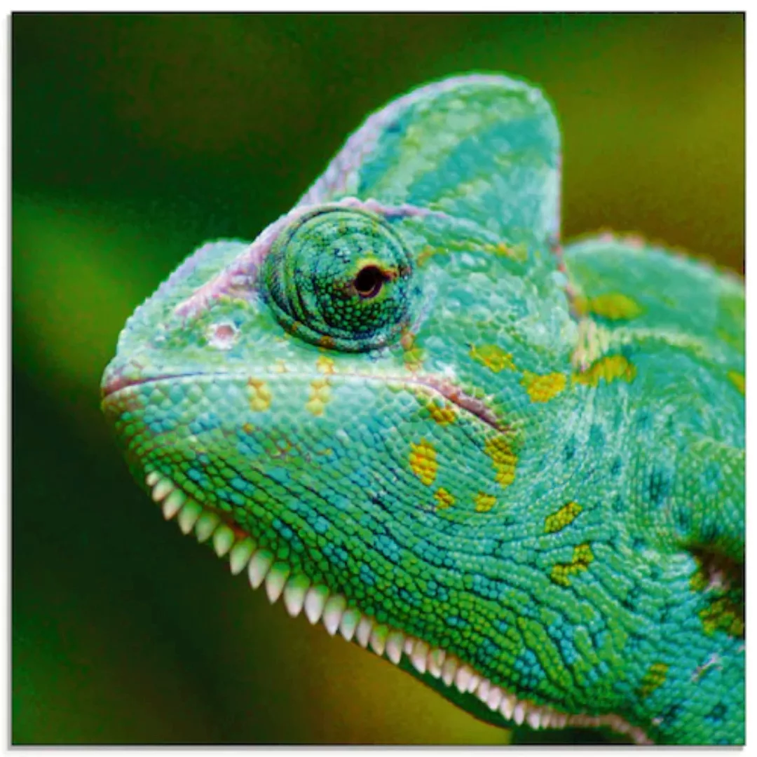 Artland Glasbild »Jemenchamäleon Portrait«, Reptilien, (1 St.), in verschie günstig online kaufen