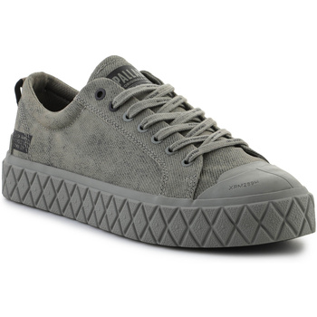 Palladium  Sneaker Palla Ace LO Surplus 74488-351-M ALL VETIVER günstig online kaufen