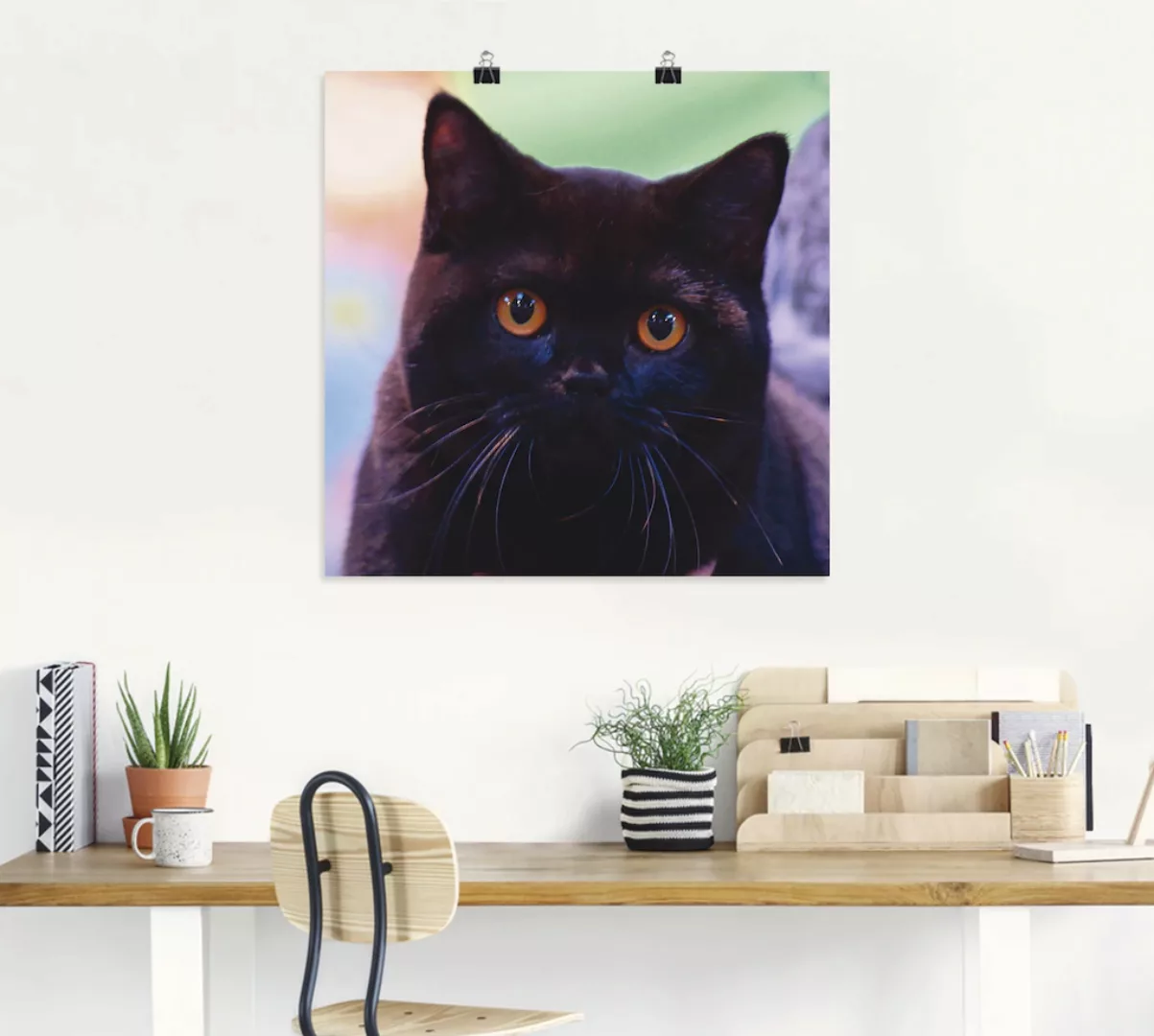 Artland Wandbild "Schwarze Britisch Kurzhaarkatze", Haustiere, (1 St.), als günstig online kaufen