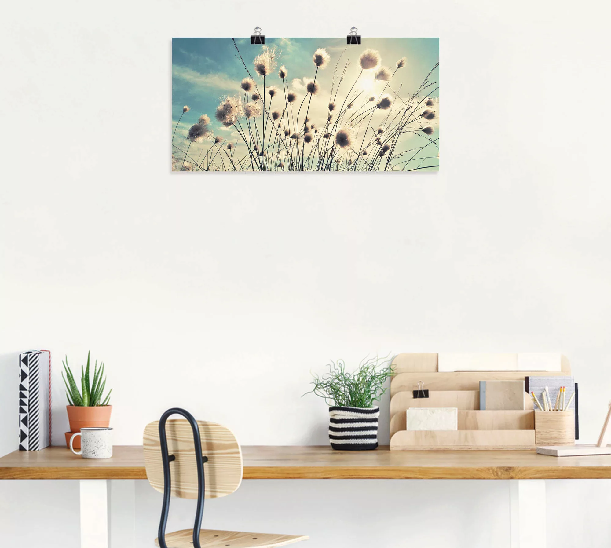 Artland Wandbild "Wollgras", Gräser, (1 St.), als Alubild, Outdoorbild, Lei günstig online kaufen