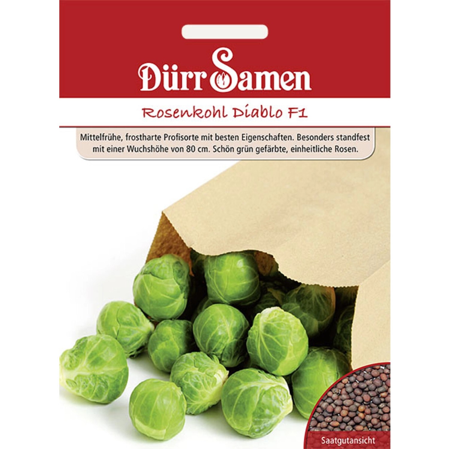 Dürr Samen Rosenkohl Diablo F1 Saatgut günstig online kaufen