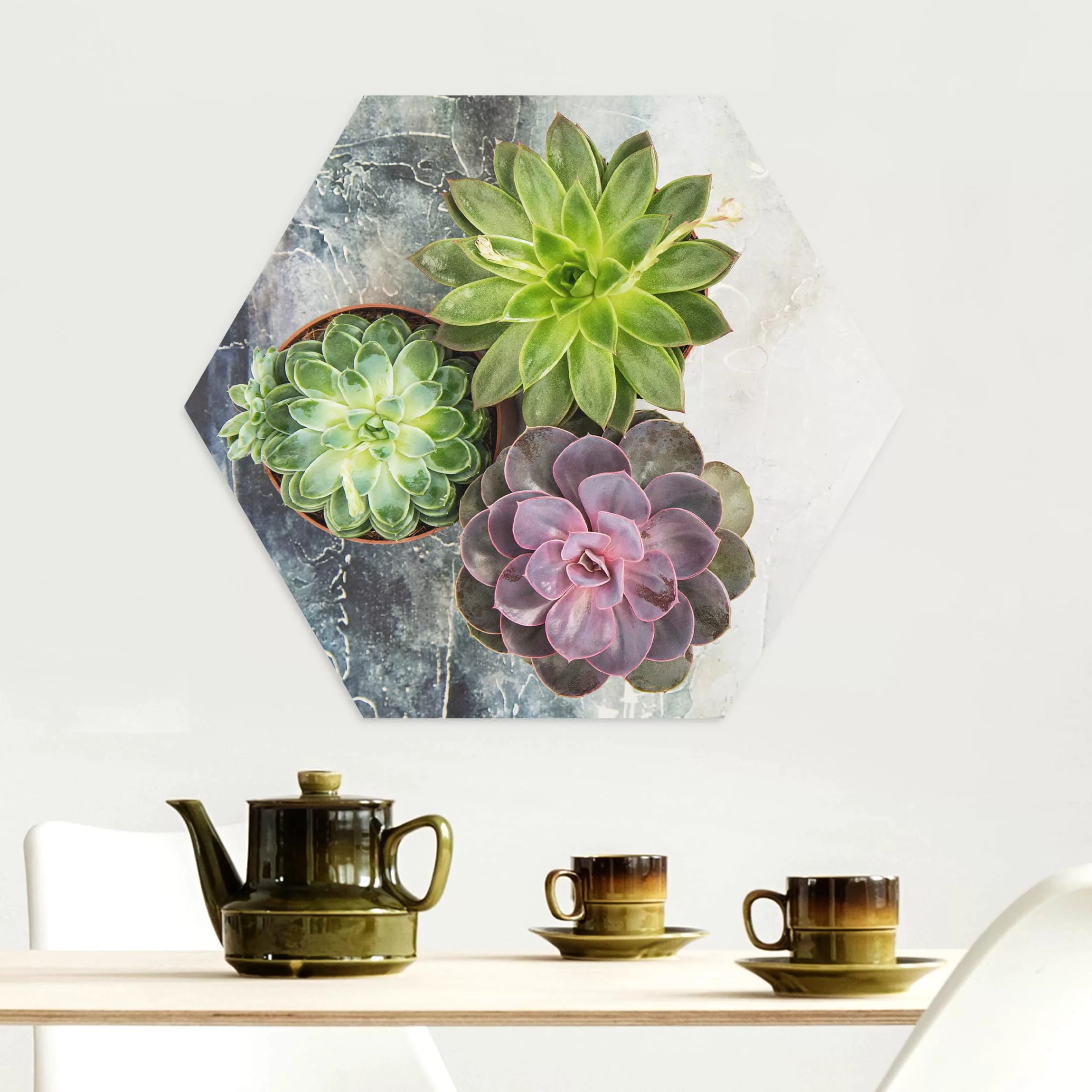 Hexagon-Alu-Dibond Bild Blumen Drei Sukkulenten günstig online kaufen