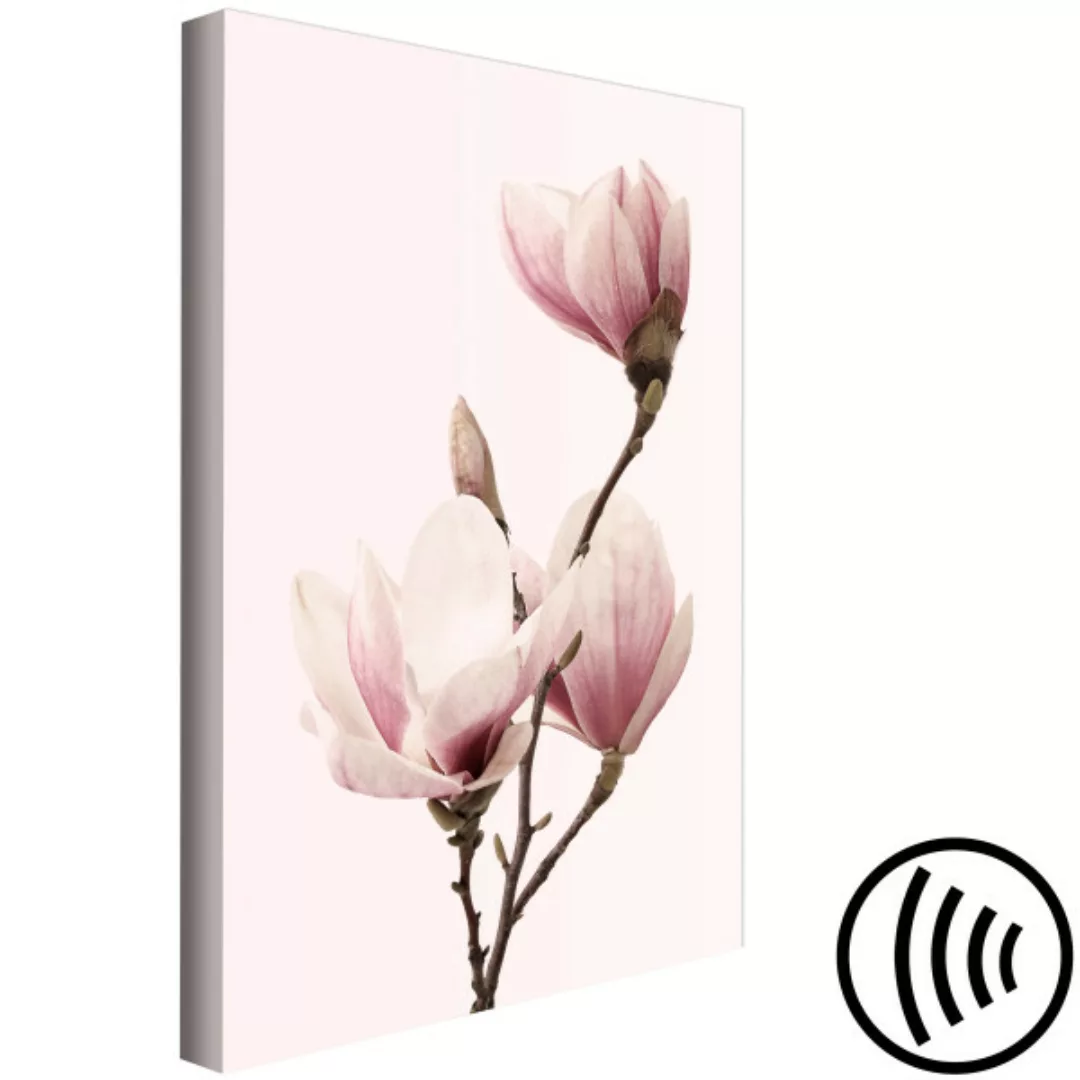Bild auf Leinwand Seasonal Flowers (1 Part) Vertical XXL günstig online kaufen
