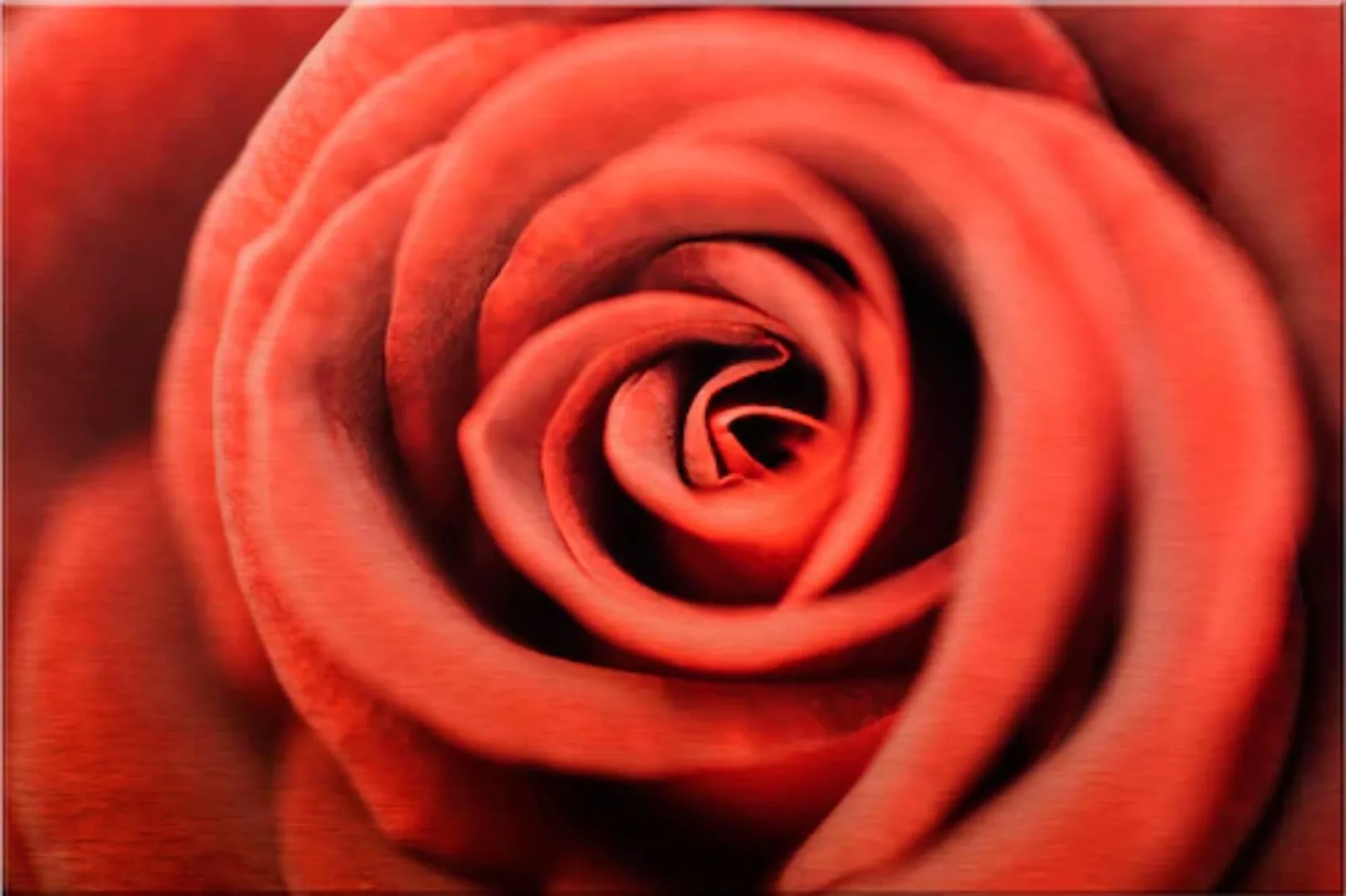 Wall-Art Metallbild "Rote Rose", 120/75 cm günstig online kaufen