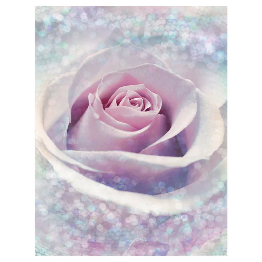 Komar Vliestapete »Digitaldruck Vlies - Delicate Rose - Größe 200 x 260 cm« günstig online kaufen