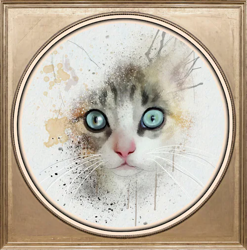 queence Acrylglasbild »Katze« günstig online kaufen