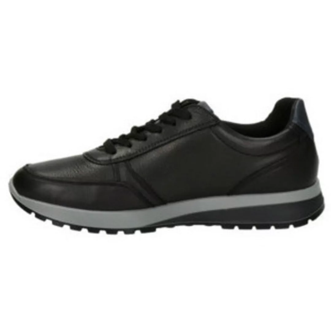 Ara  Sneaker Freizeit Schnürer für Herren in mehrfarbig günstig online kaufen
