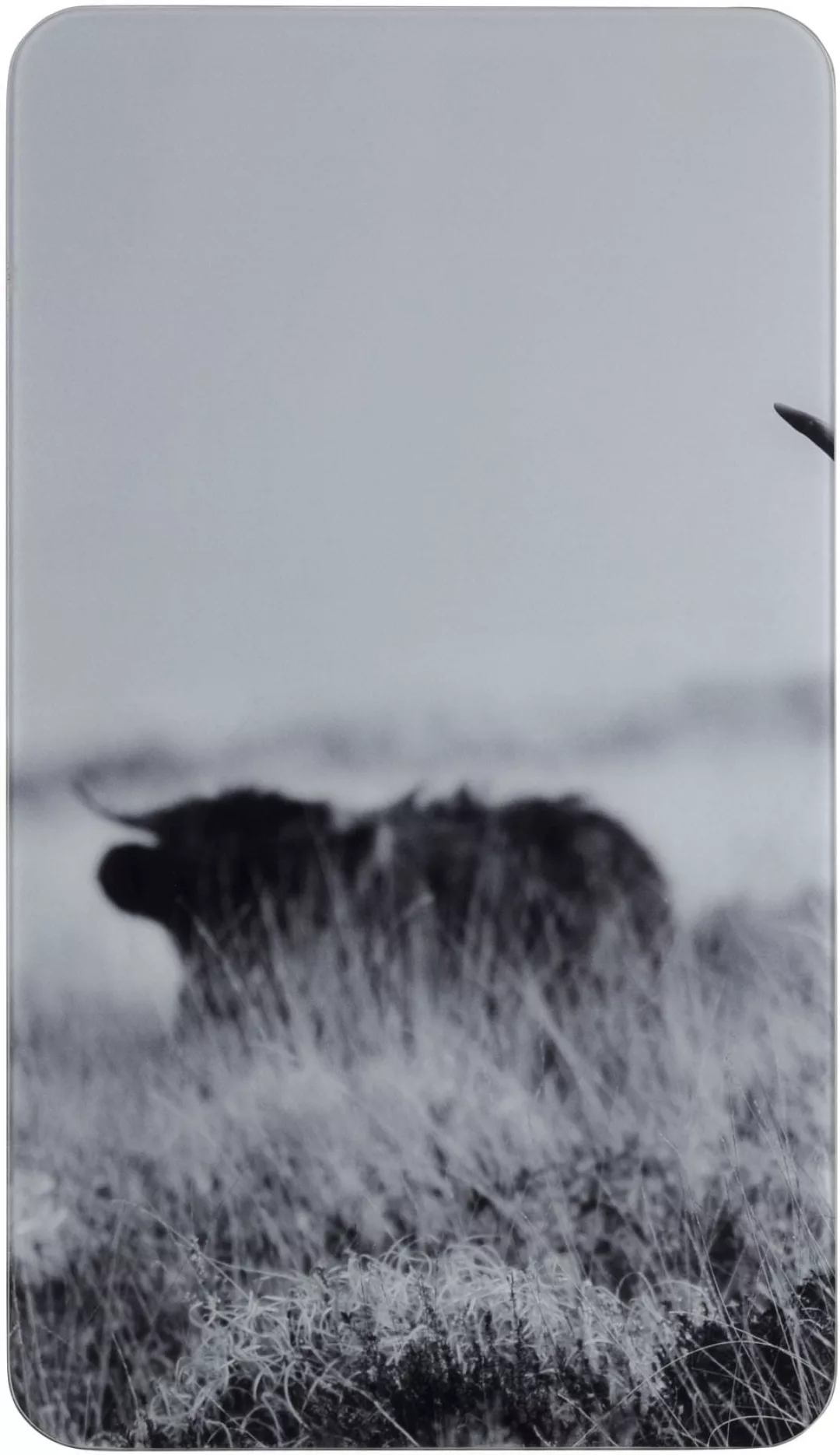 WENKO Herd-Abdeckplatte »Highland Cattle«, (Set, 2 tlg.) günstig online kaufen