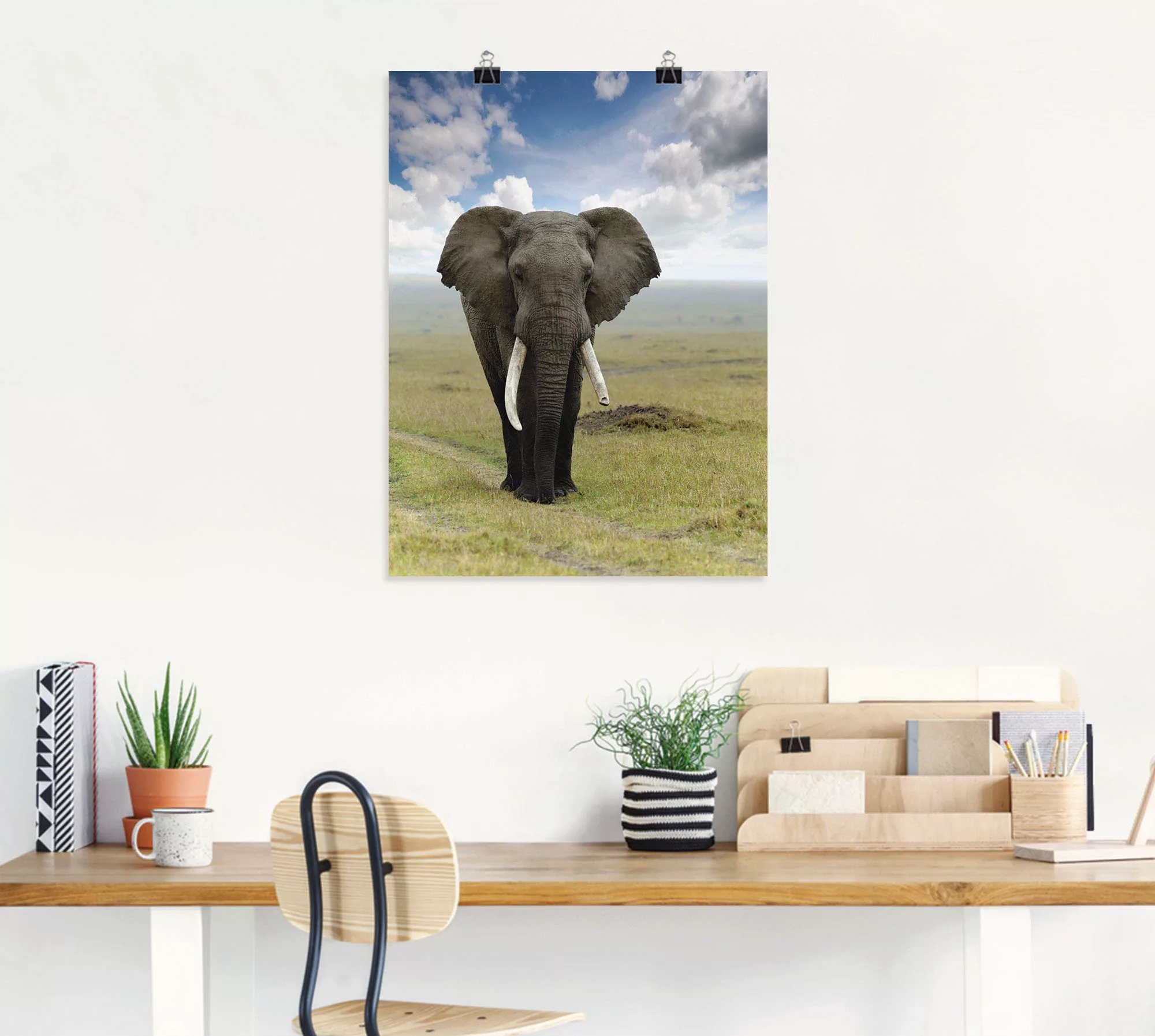 Artland Wandbild "Elefant", Wildtiere, (1 St.), als Alubild, Outdoorbild, L günstig online kaufen
