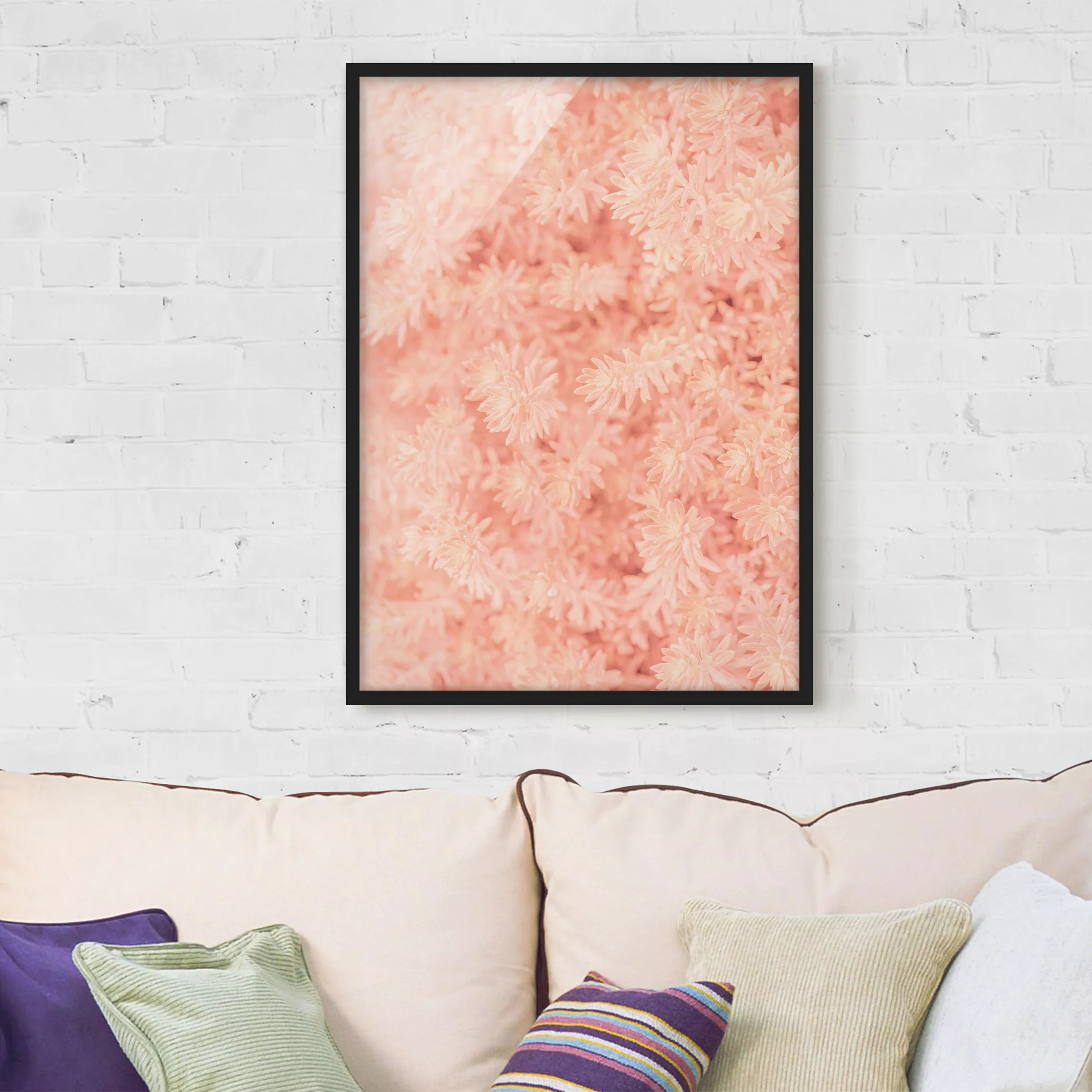 Bild mit Rahmen Blumen - Hochformat Rosmarin Rosa günstig online kaufen