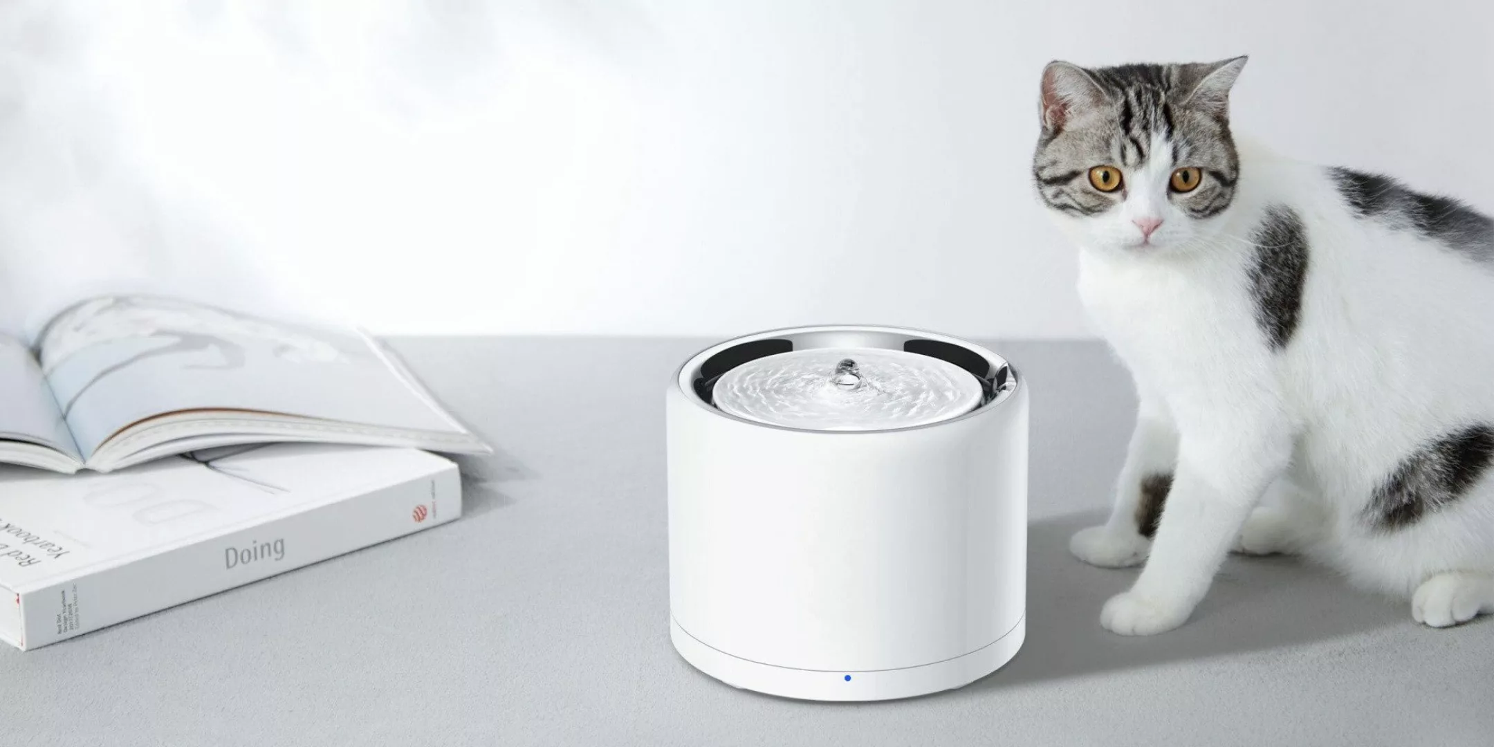 PETKIT Trinkbrunnen Petkit Eversweet 3 Pro günstig online kaufen