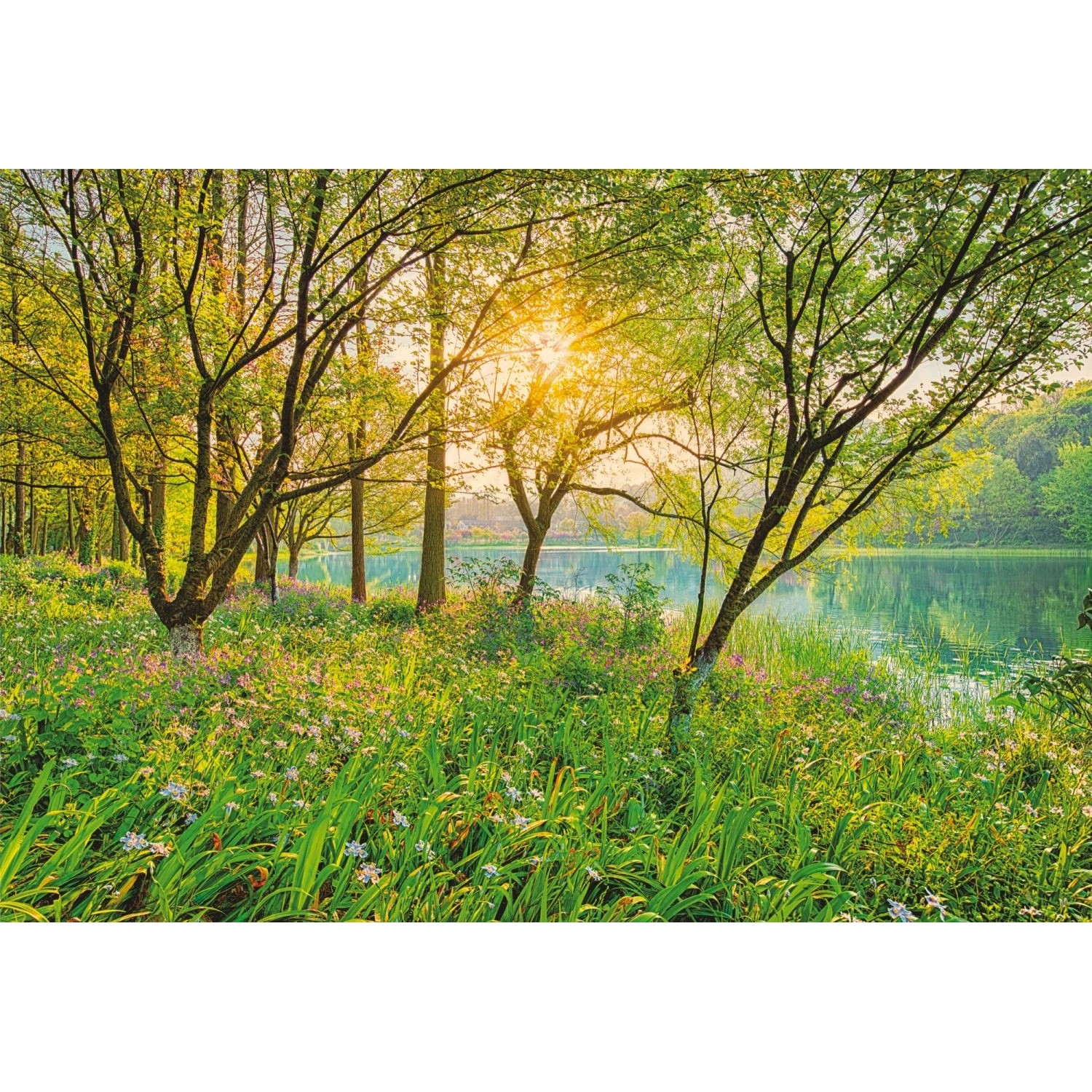 Komar Fototapete Spring Lake Grün 368 x 254 cm 610987 günstig online kaufen