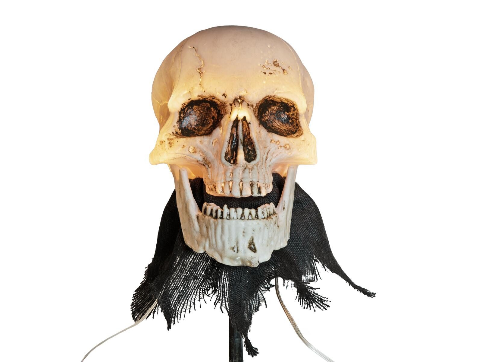 EUROPALMS Dekofigur EUROPALMS Halloween Totenköpfe mit günstig online kaufen