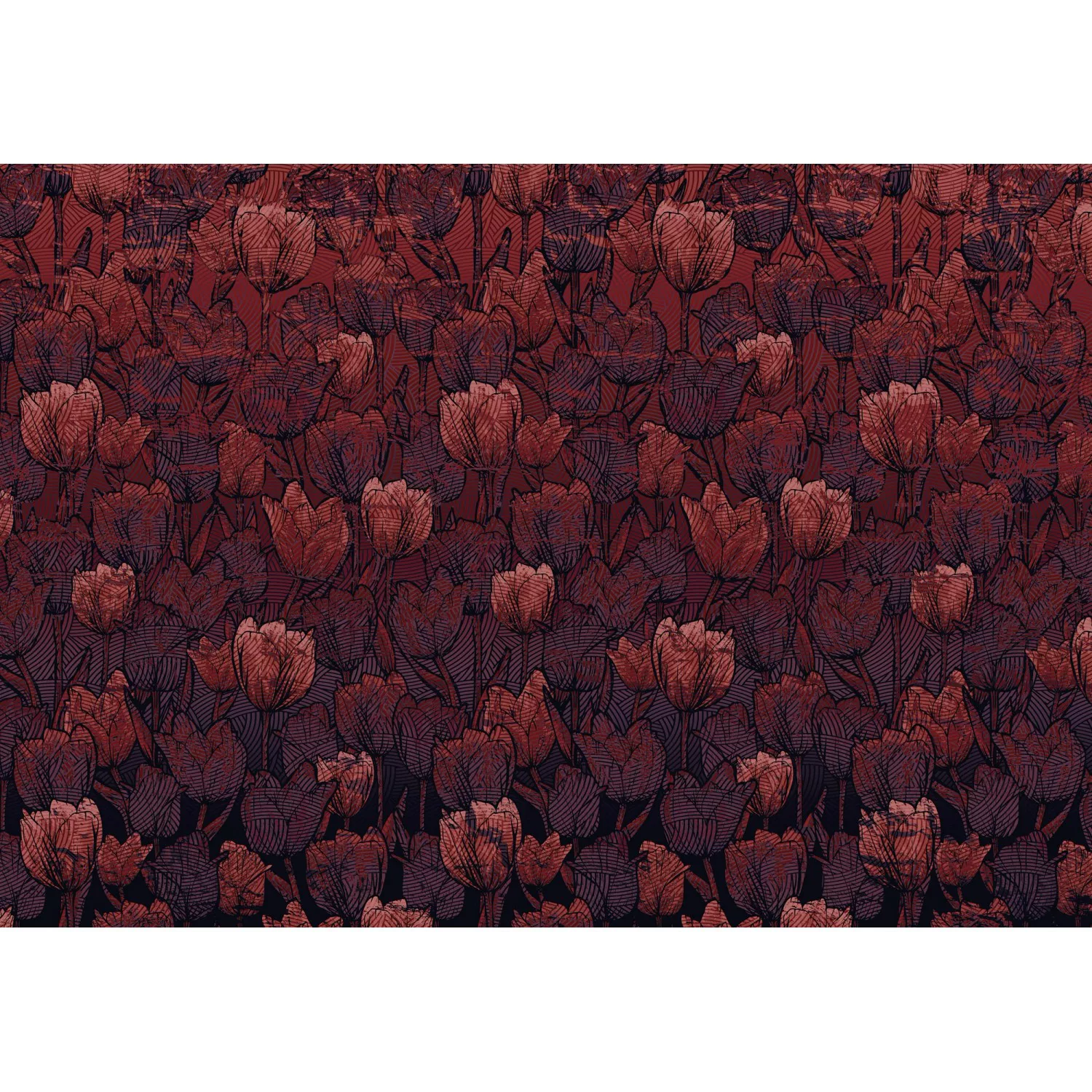 KOMAR Vlies Fototapete - Tulipe - Größe 400 x 280 cm mehrfarbig günstig online kaufen