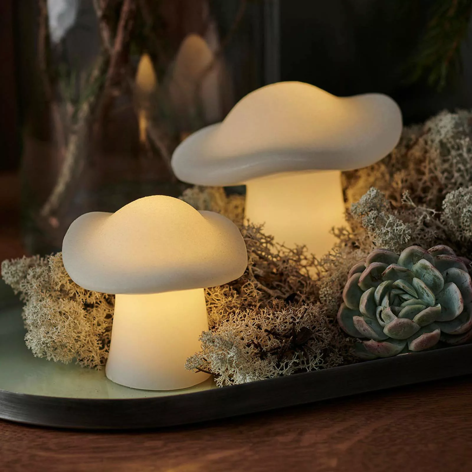 LED-Dekoleuchte Mushroom 2er-Set günstig online kaufen