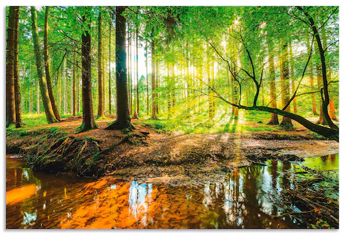 Artland Wandbild "Wald mit Bach", Wald, (1 St.), als Alubild, Outdoorbild, günstig online kaufen