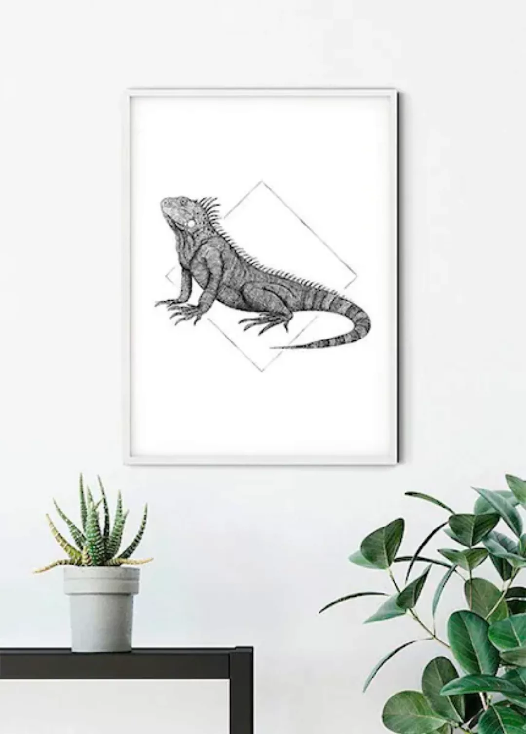 Komar Poster »Iguana White«, Tiere, (1 St.), Kinderzimmer, Schlafzimmer, Wo günstig online kaufen