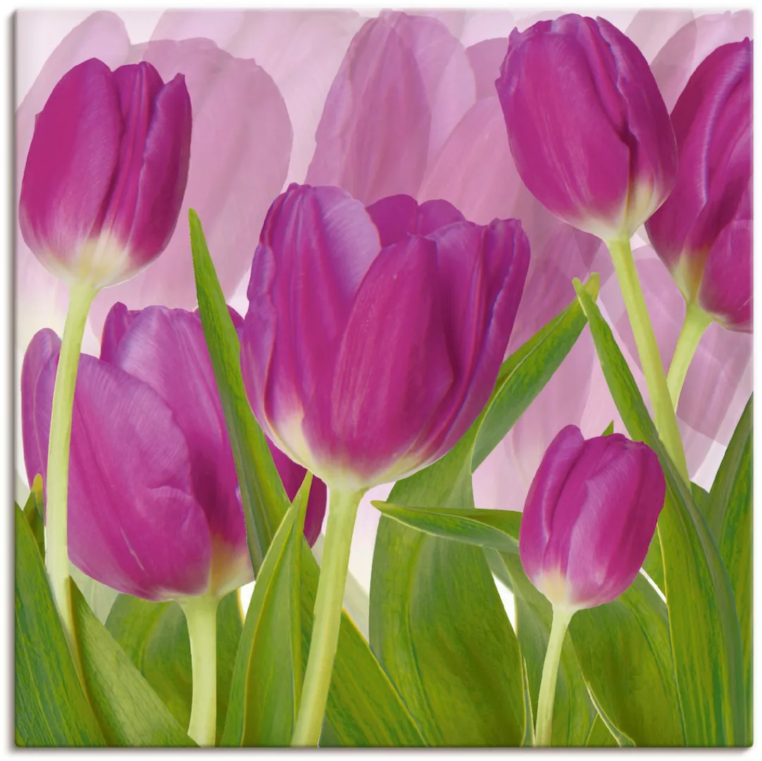 Artland Wandbild "Tulpenfeld lila", Blumen, (1 St.) günstig online kaufen