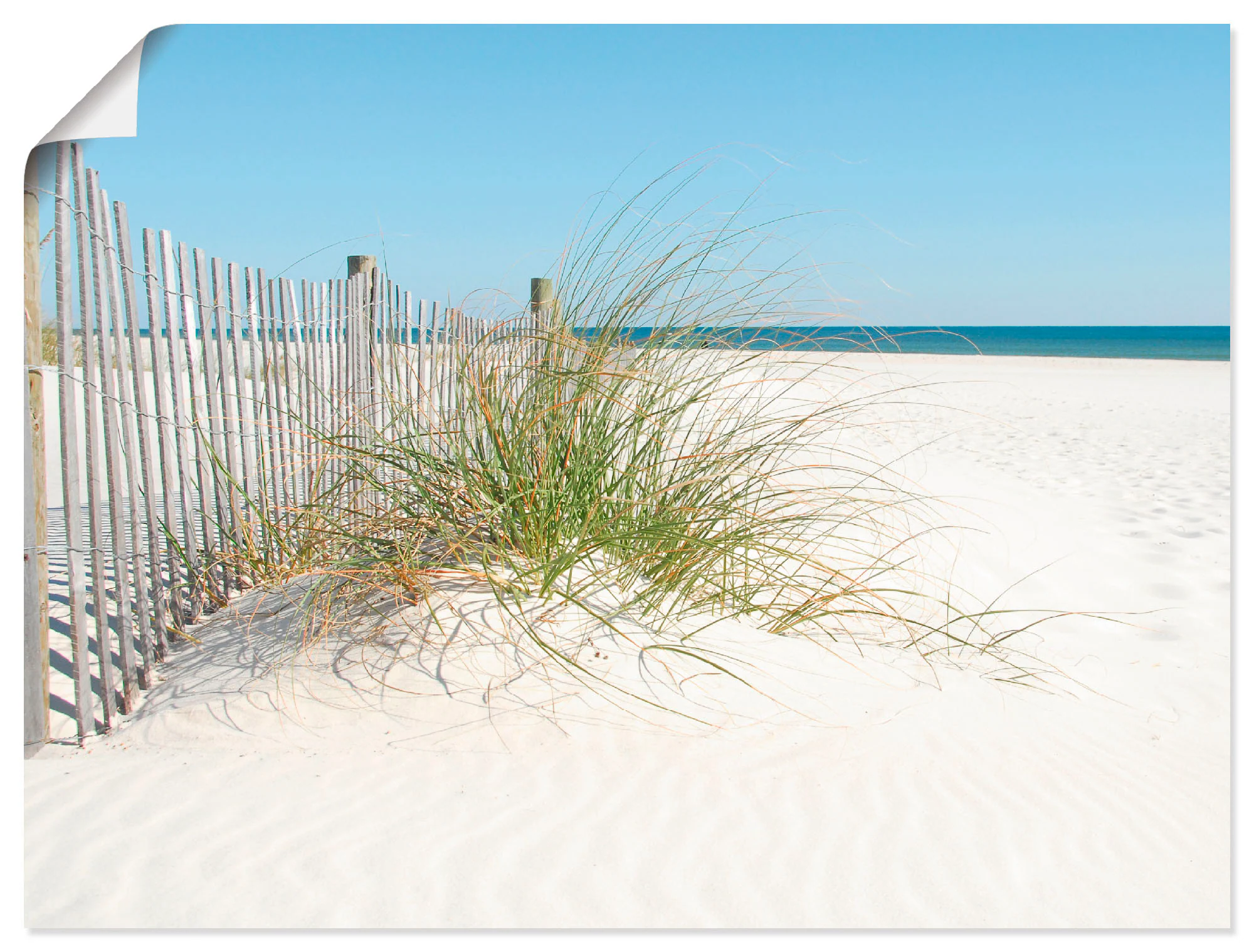 Artland Wandbild "Schöne Sanddüne mit Gräsern und Zaun", Strand, (1 St.), a günstig online kaufen