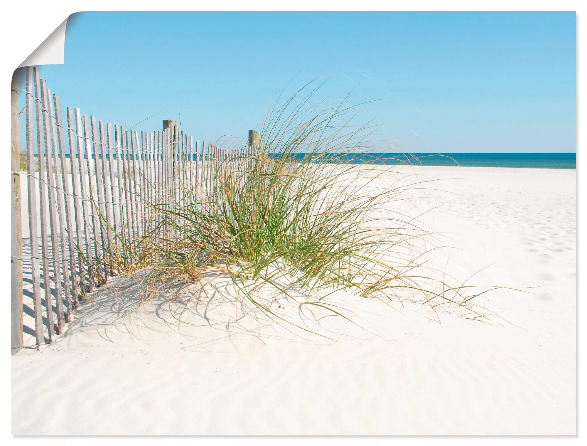 Artland Wandbild "Schöne Sanddüne mit Gräsern und Zaun", Strand, (1 St.) günstig online kaufen