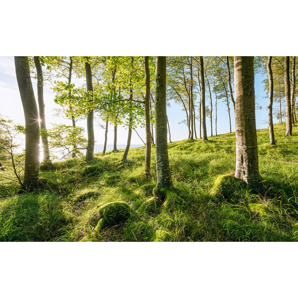 Sanders & Sanders Fototapete Landschaft Grün und Blau 450 x 280 cm 612683 günstig online kaufen