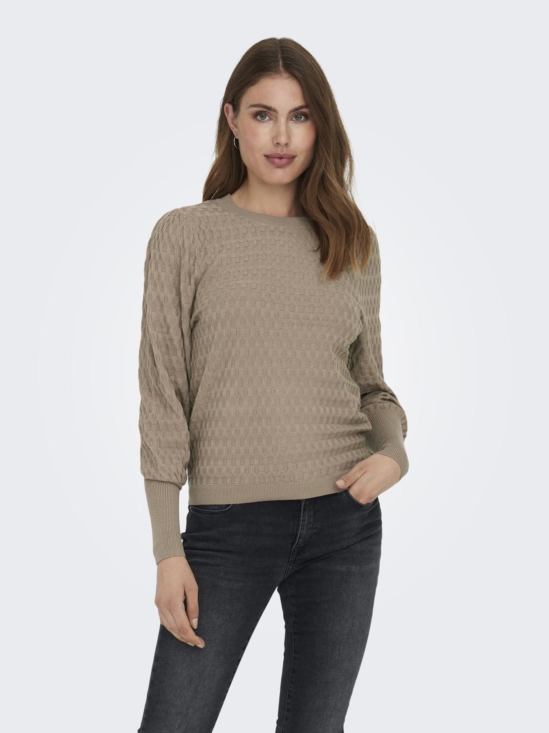 ONLY Rundhalspullover ONLFAYE LIFE L/S PULLOVER günstig online kaufen