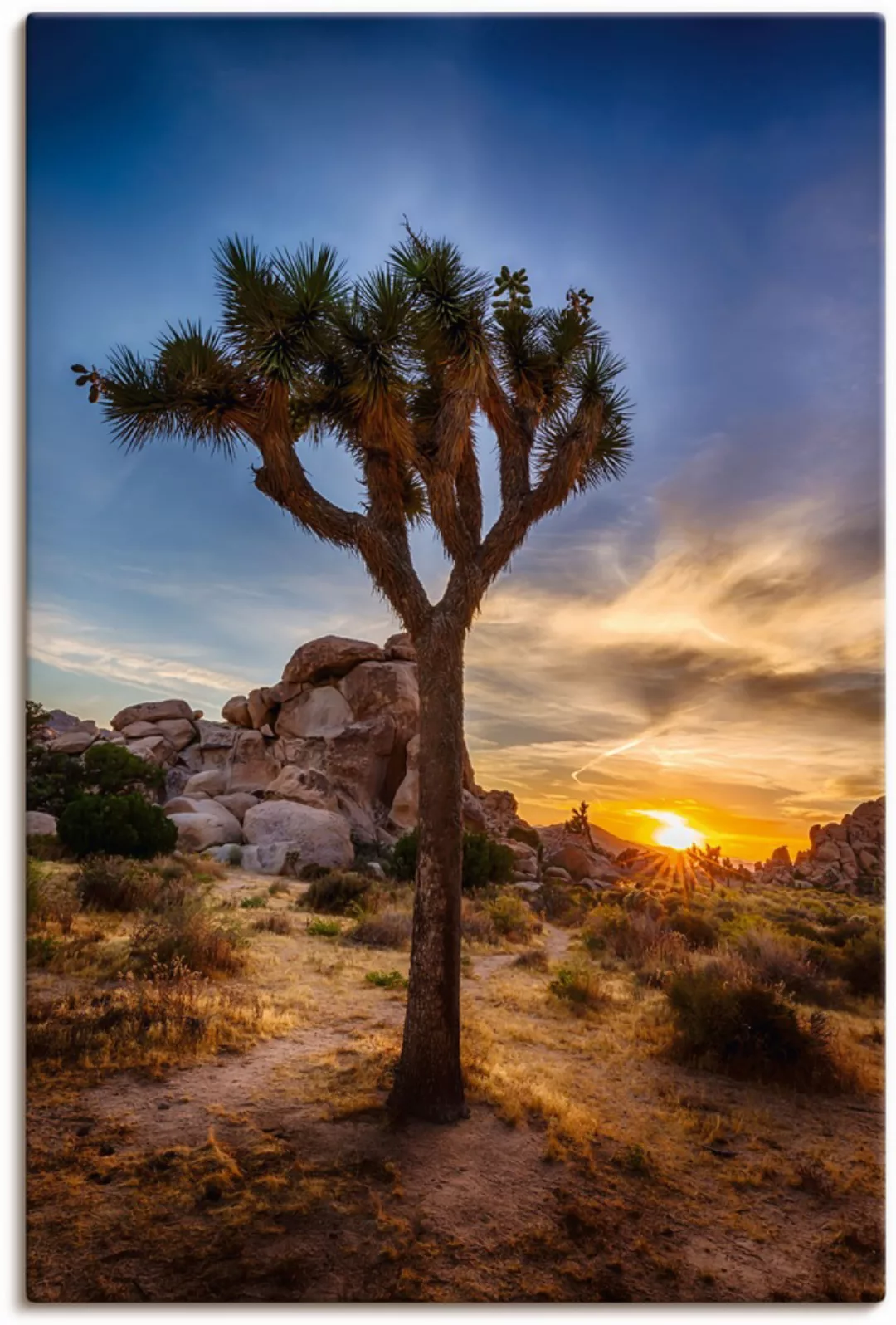 Artland Wandbild »Sonnenuntergang Joshua Tree NationalPark« (1 Stück), in v günstig online kaufen