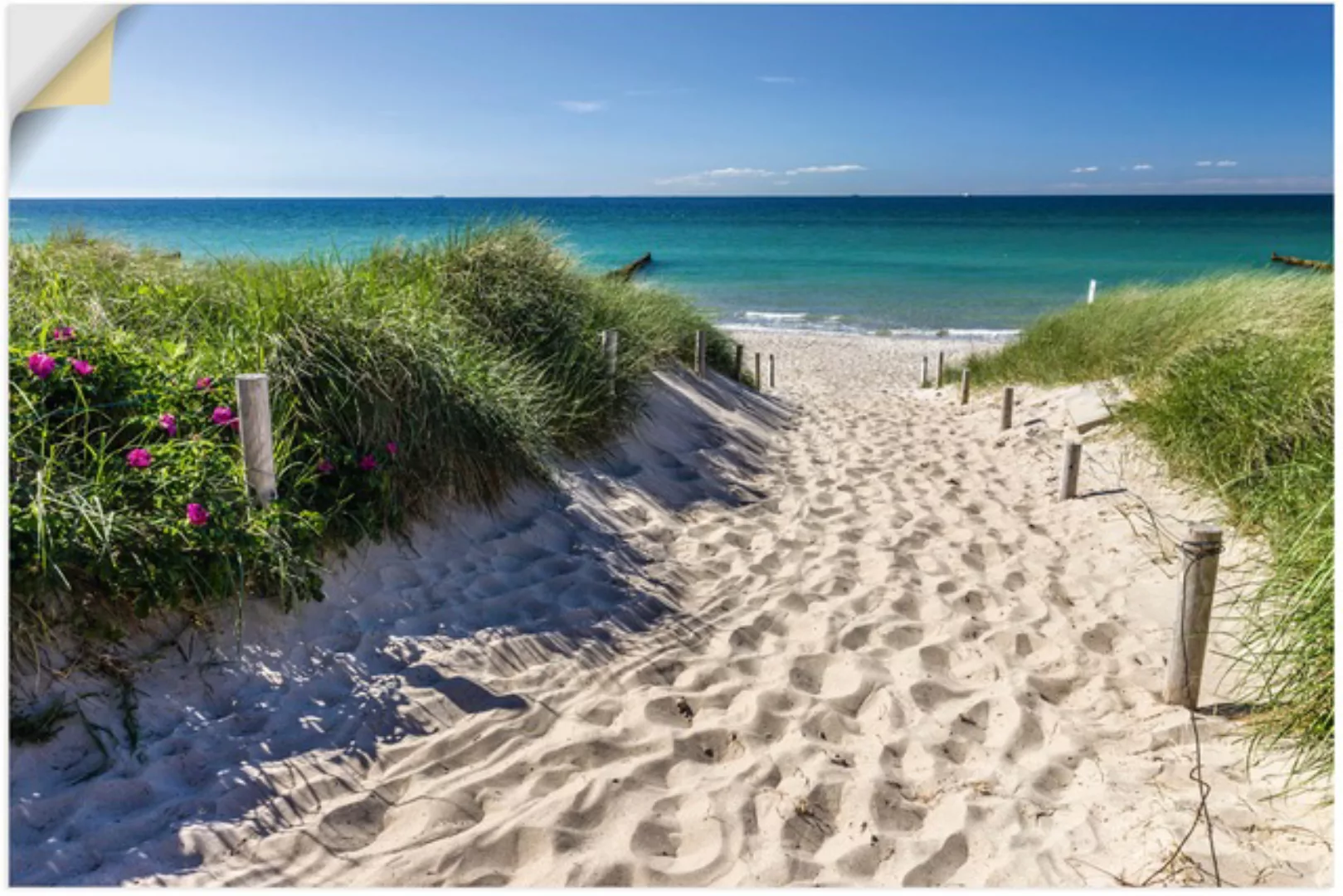 Artland Wandbild "Weg zum Strand an der Ostsee", Strandbilder, (1 St.), als günstig online kaufen