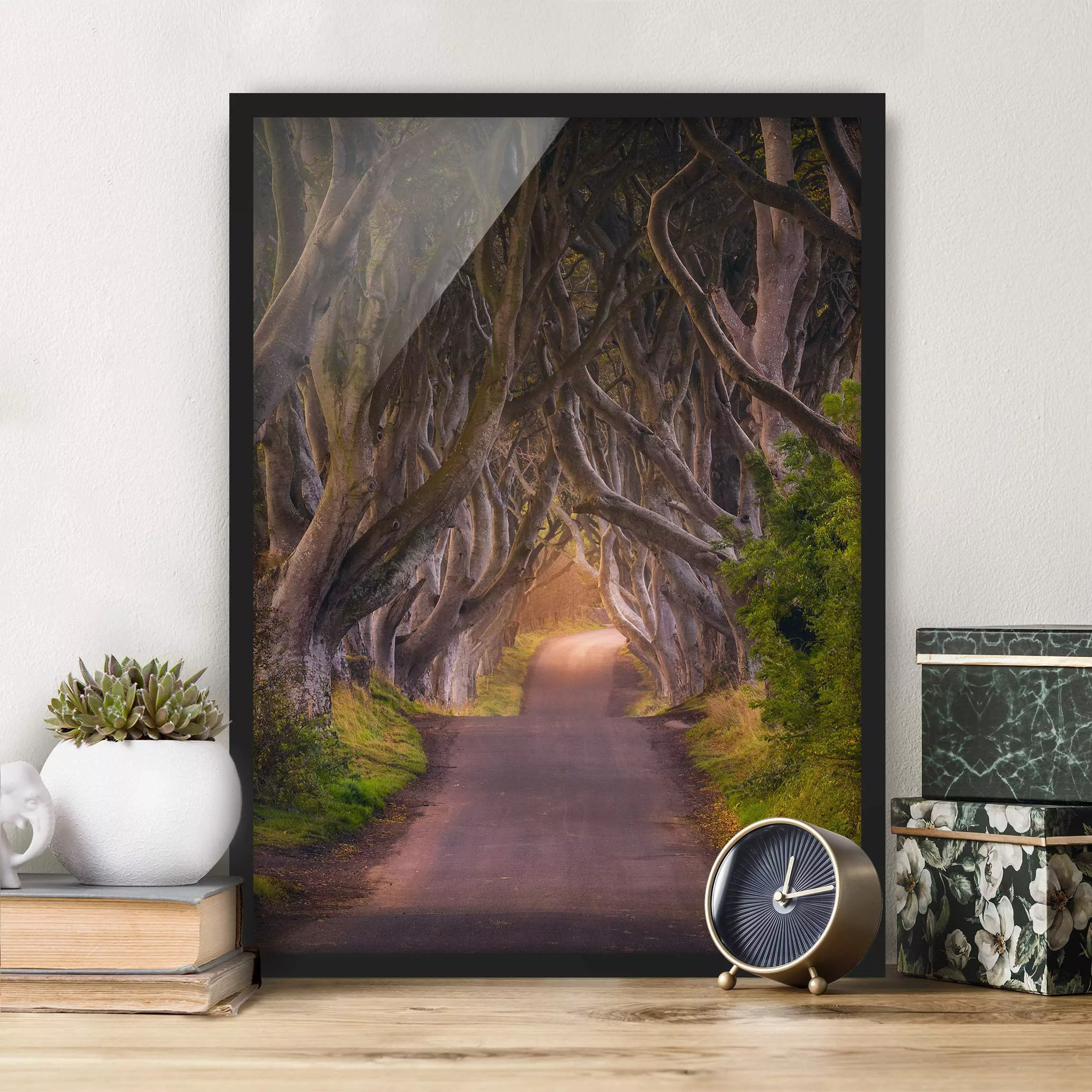 Bild mit Rahmen Natur & Landschaft - Hochformat Tunnel aus Bäumen günstig online kaufen