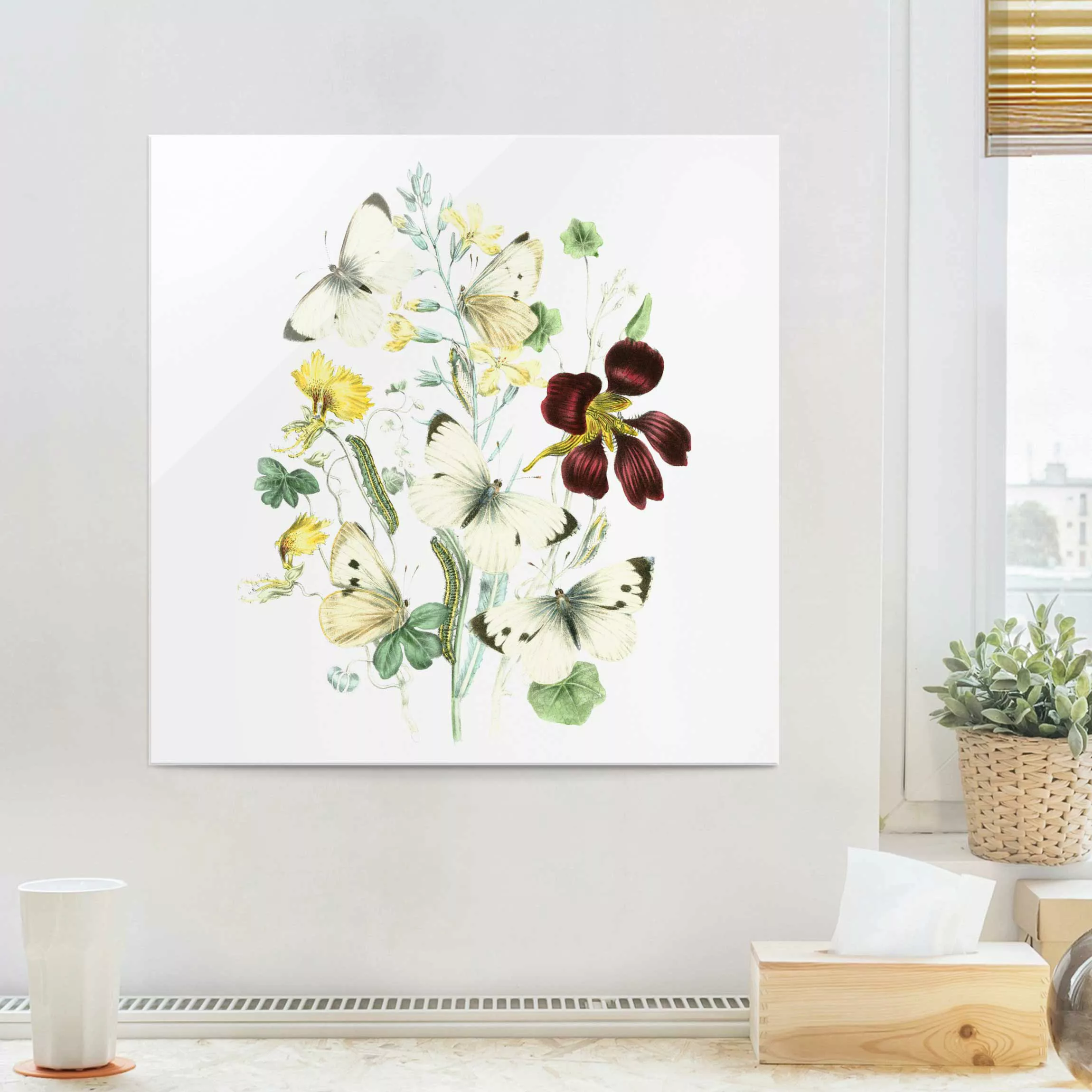 Glasbild Blumen - Quadrat Britische Schmetterlinge II günstig online kaufen