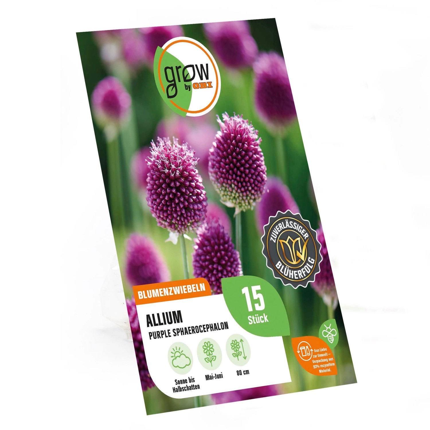 Grow by OBI Kugelköpfige Lauch Purpur 60 cm Allium sphaerocephalon günstig online kaufen