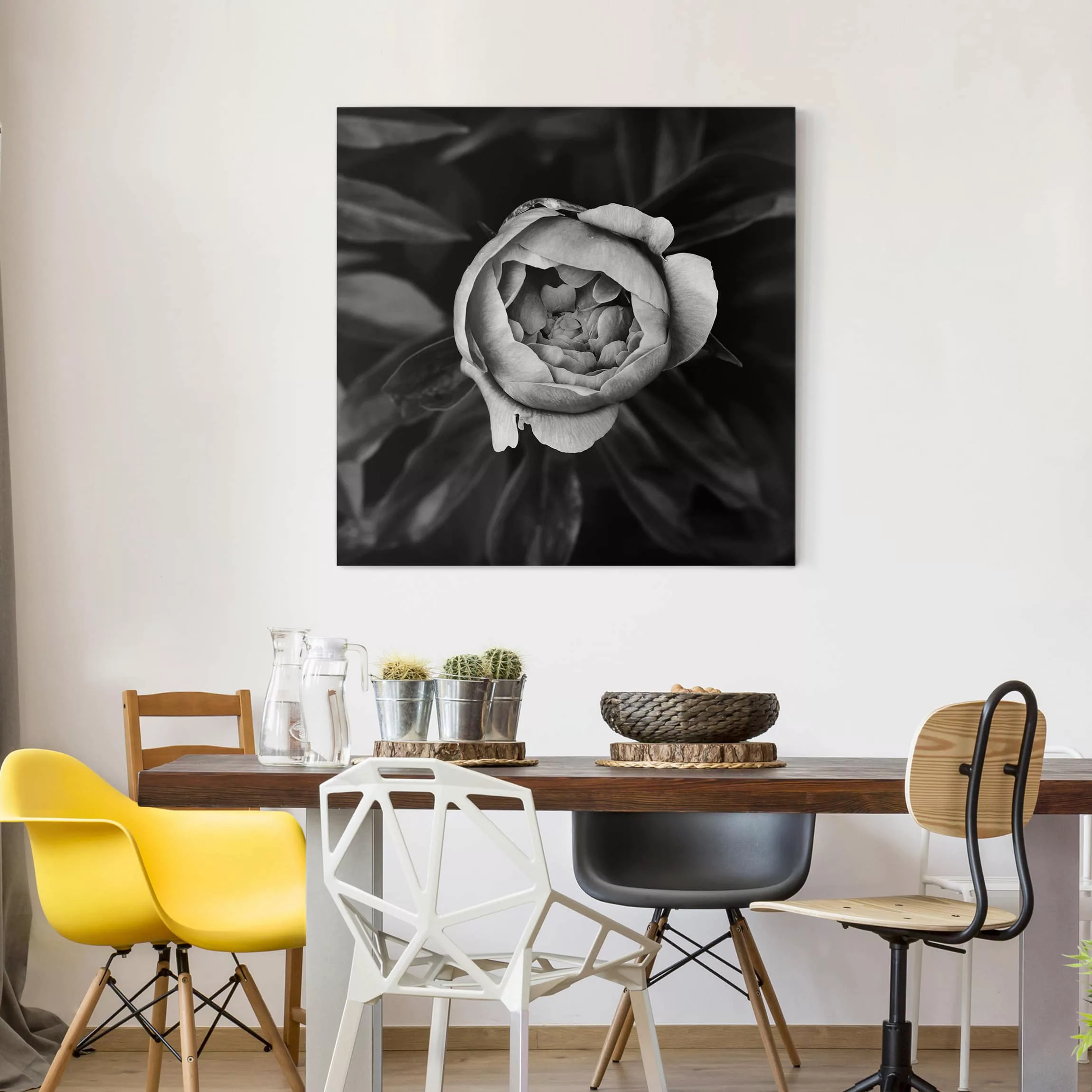 Leinwandbild Blumen - Quadrat Pfingstrosenblüte vor Blättern Schwarz Weiß günstig online kaufen