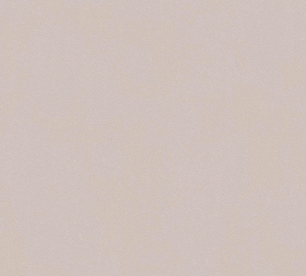 Bricoflor Uni Vliestapete Taupe Beige Moderne Tapete Einfarbig Glatt Ideal günstig online kaufen