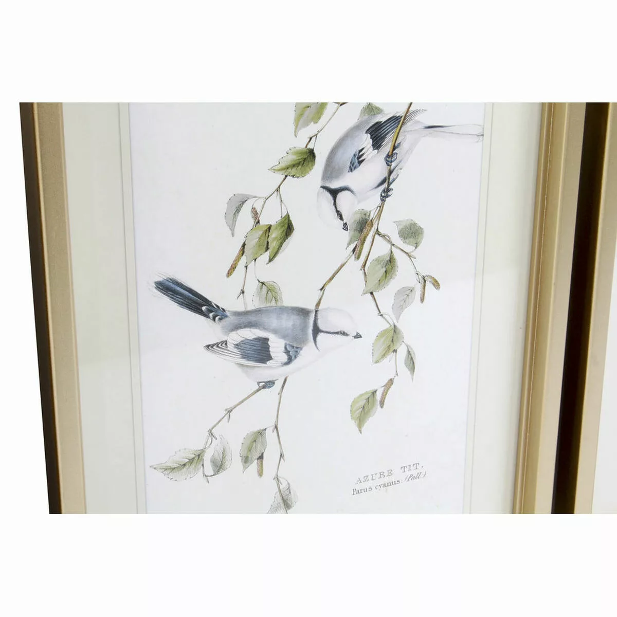 Bild Dkd Home Decor S3017833 Vögel (35 X 2,5 X 45 Cm) (4 Stück) günstig online kaufen