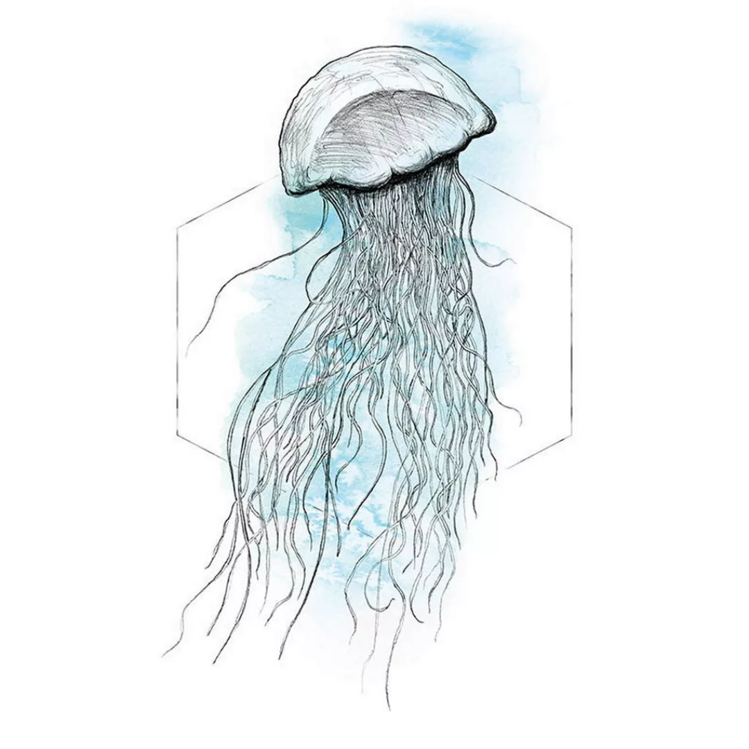 Komar Wandbild Jellyfish Watercolor Tiere B/L: ca. 50x70 cm günstig online kaufen