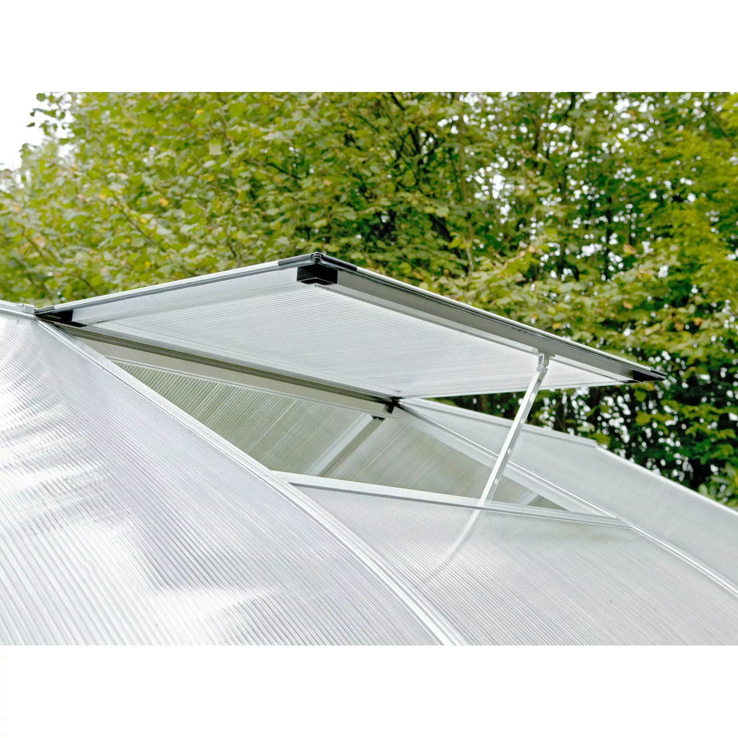 Dachfenster für KGT-Gewächshäuser mit 16 mm Verglasungsstärke Alu blank günstig online kaufen