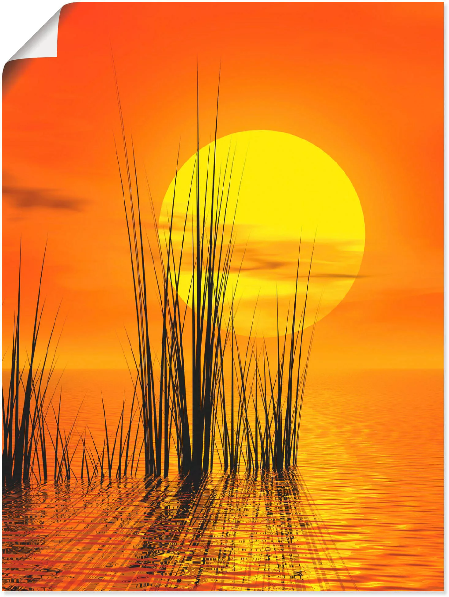 Artland Wandbild "Sonnenuntergang mit Schilf", Sonnenaufgang & -untergang, günstig online kaufen