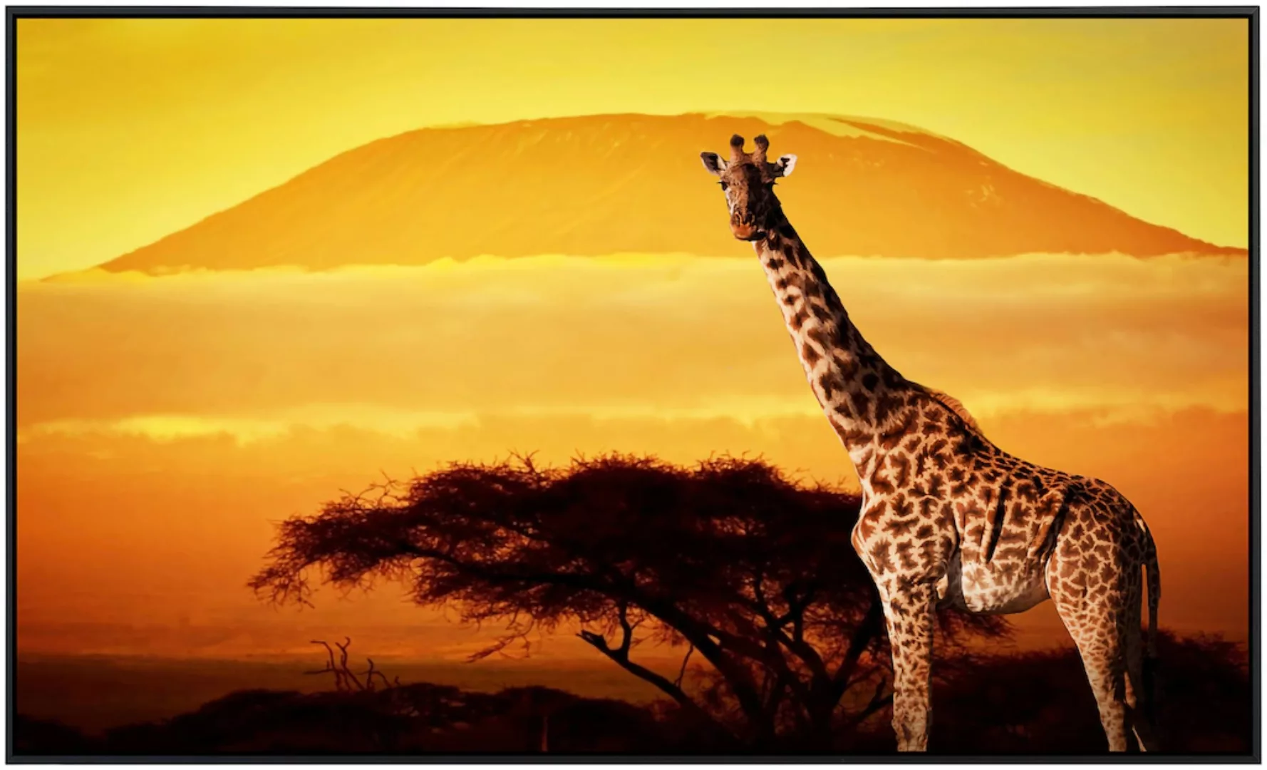 Papermoon Infrarotheizung »Giraffe von Kilimanjaro«, sehr angenehme Strahlu günstig online kaufen