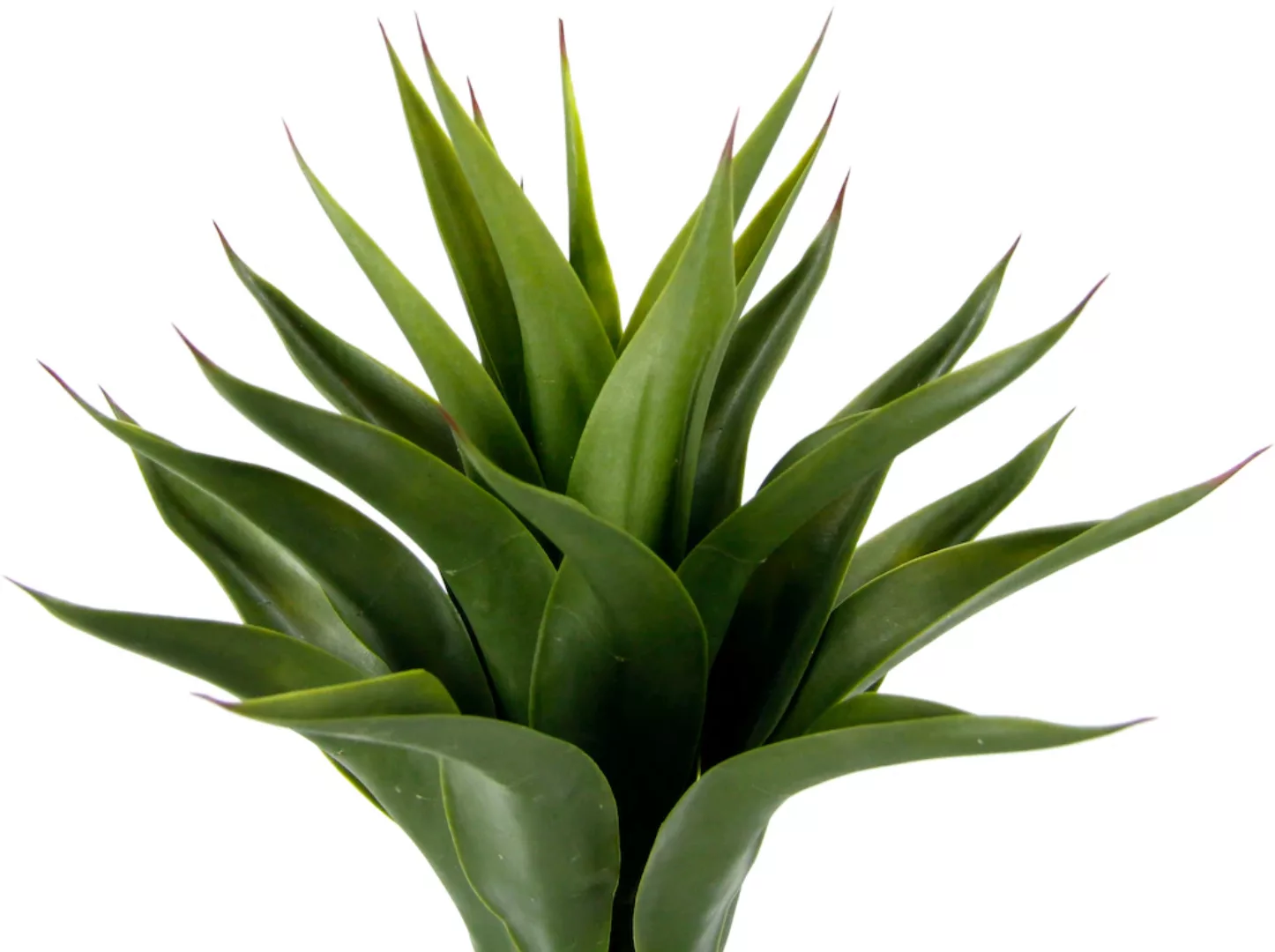 I.GE.A. Kunstpflanze "Künstliche Agave im Topf Pflanze Aloe Vera Sansevieri günstig online kaufen