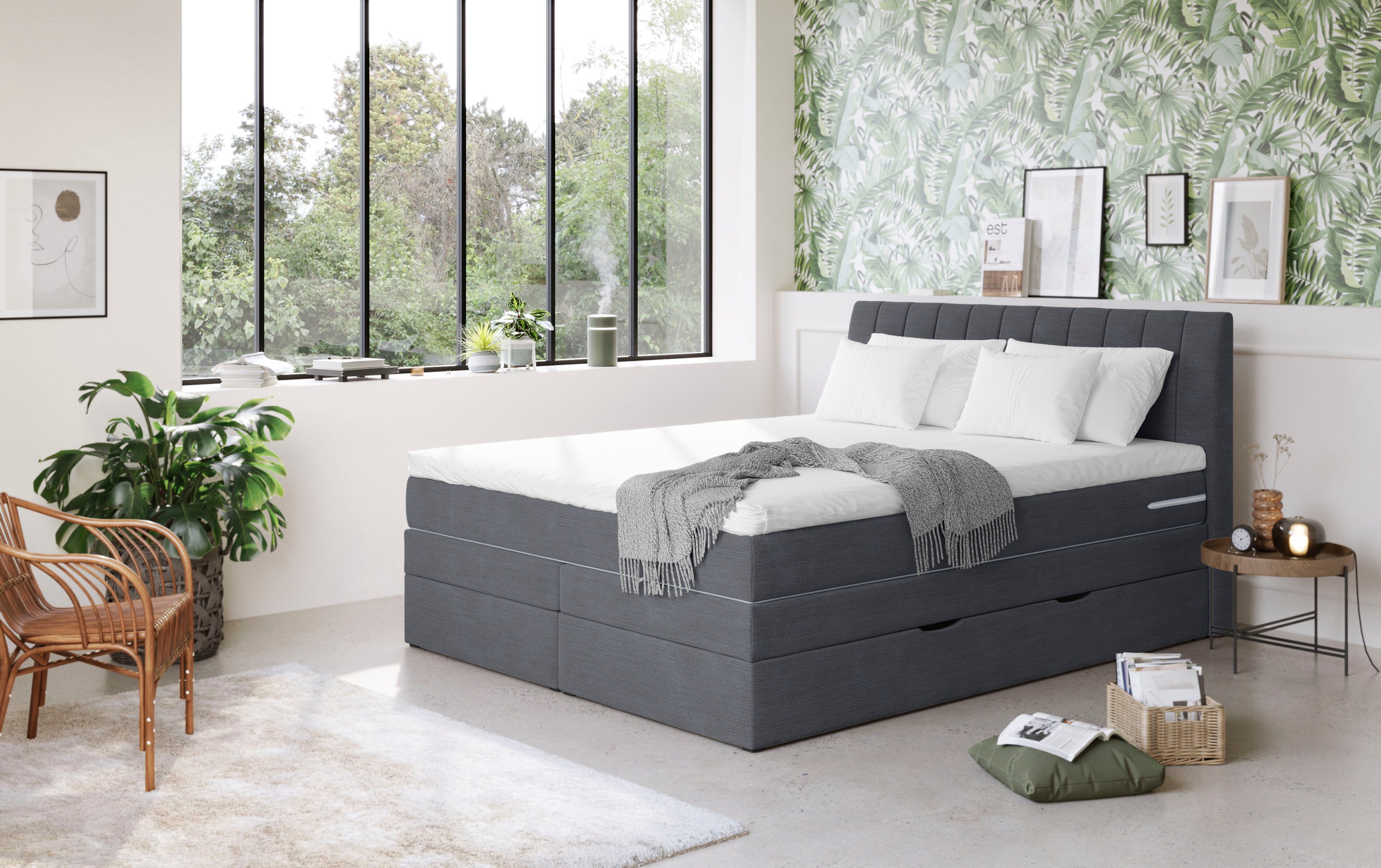 COTTA Boxspringbett "Shark inkl. Bettkasten und Topper", erhältlich in den günstig online kaufen