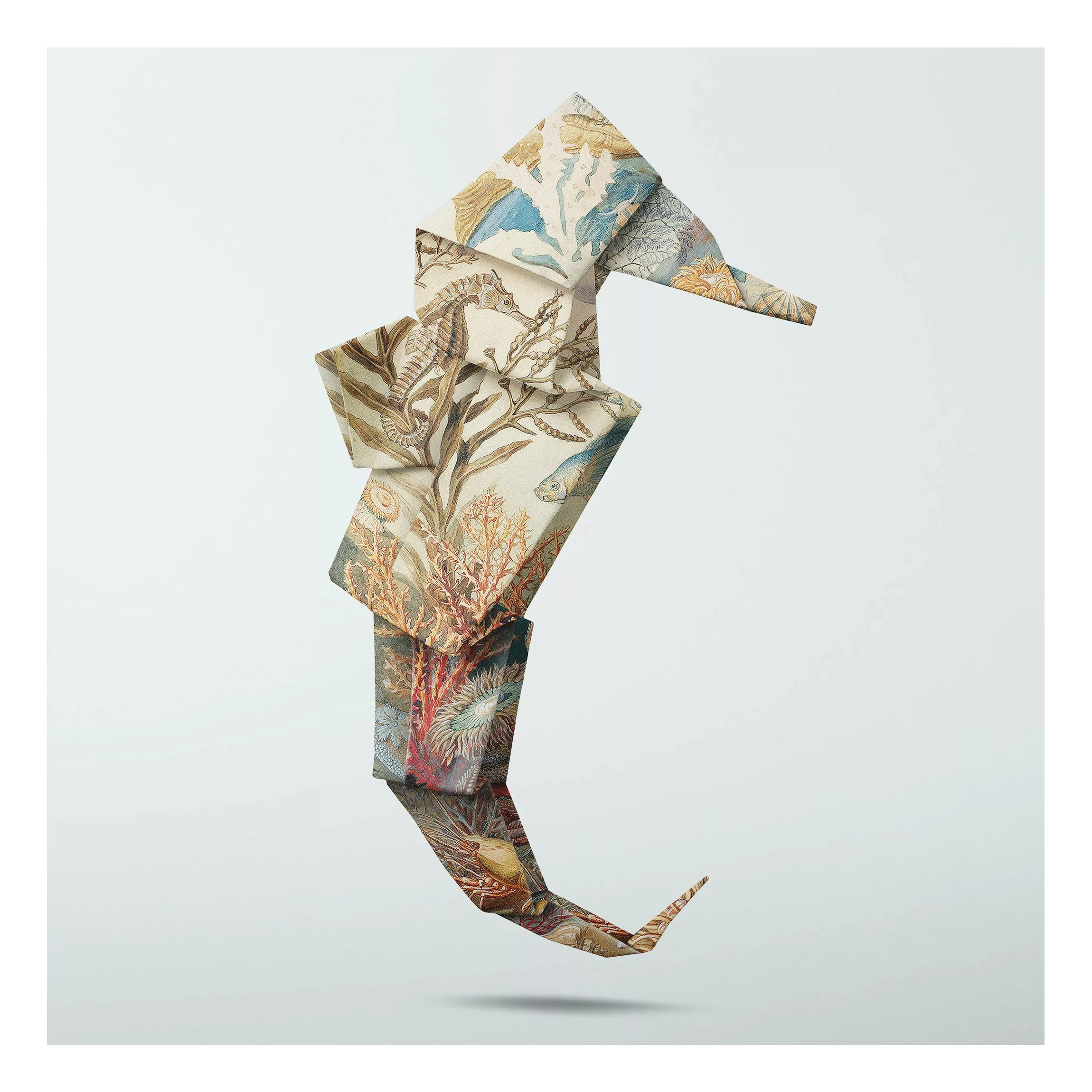 Alu-Dibond Bild Kunstdruck - Quadrat Origami Seepferdchen günstig online kaufen