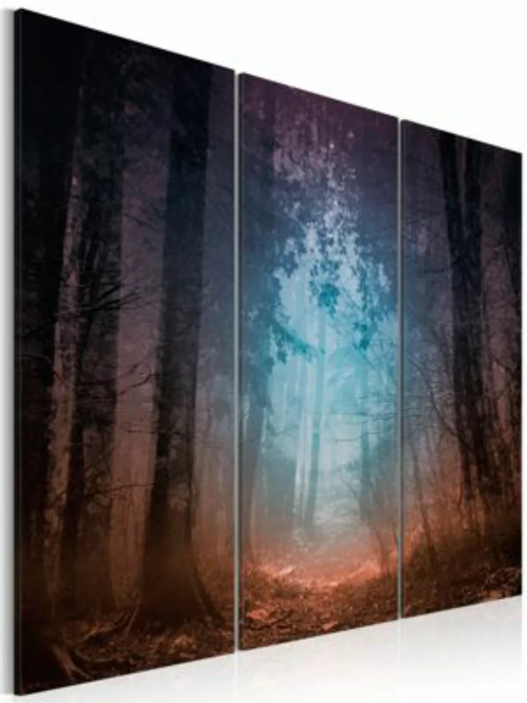artgeist Wandbild Edge of the forest - triptych mehrfarbig Gr. 60 x 40 günstig online kaufen