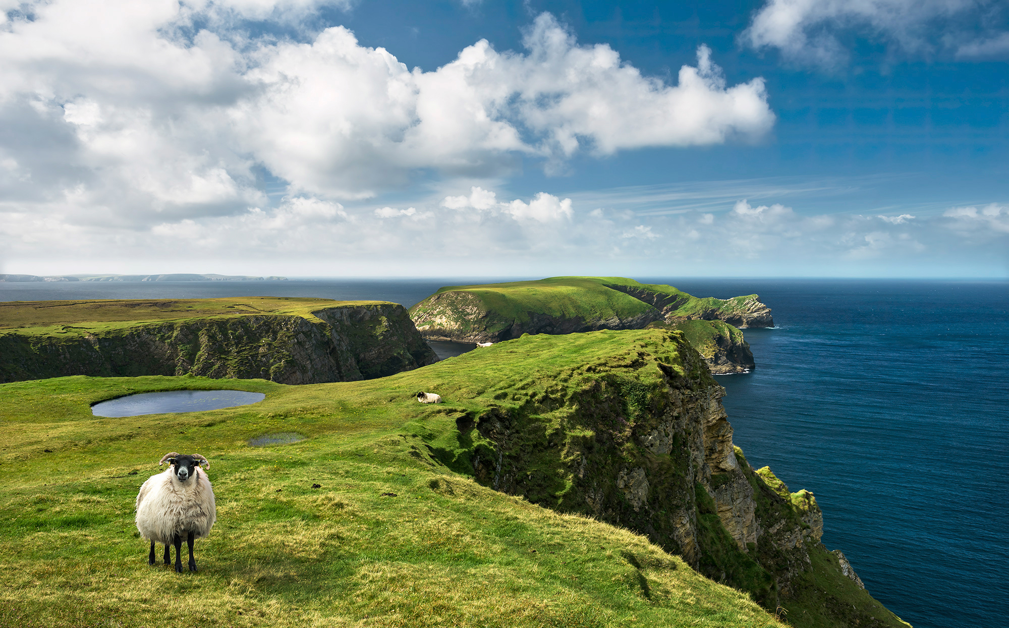 Komar Fototapete Green Ireland B/L: ca. 450x280 cm günstig online kaufen