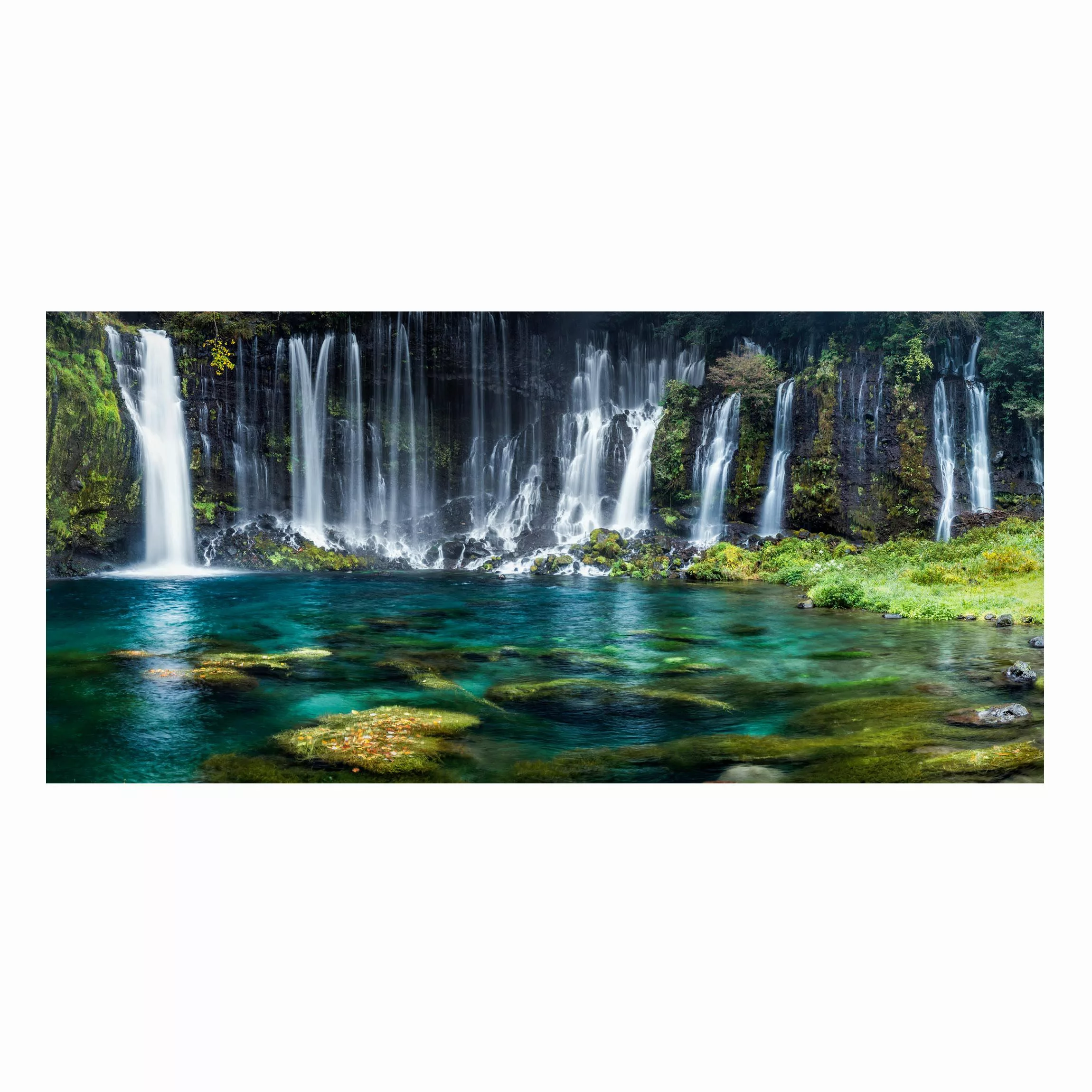 Magnettafel Shiraito Wasserfall günstig online kaufen