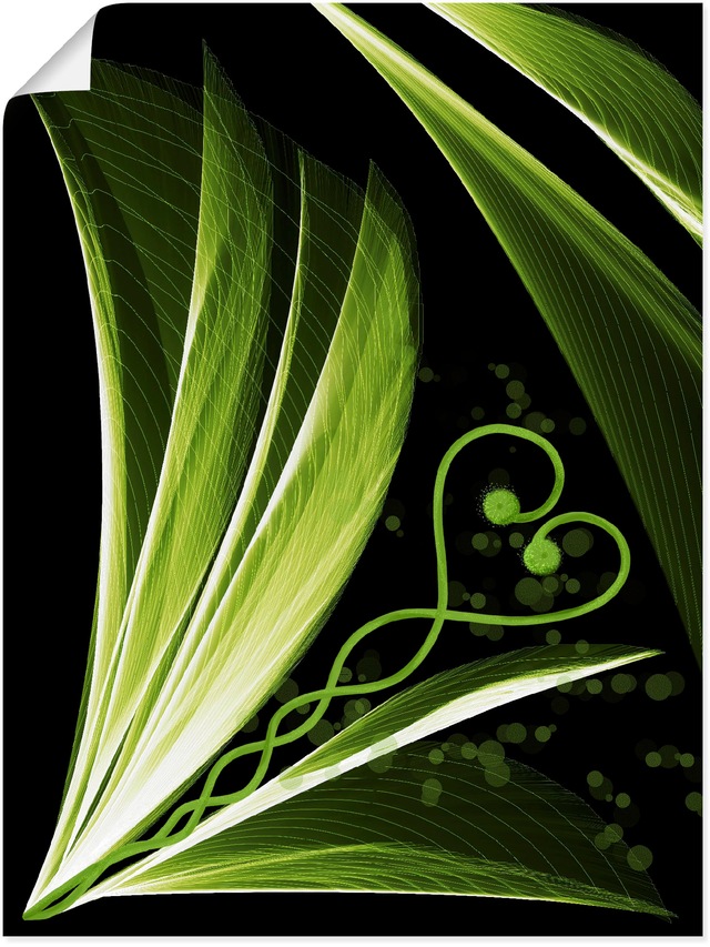 Artland Poster "Grünes Herzblatt dekorativ", Spa Bilder, (1 St.), als Alubi günstig online kaufen