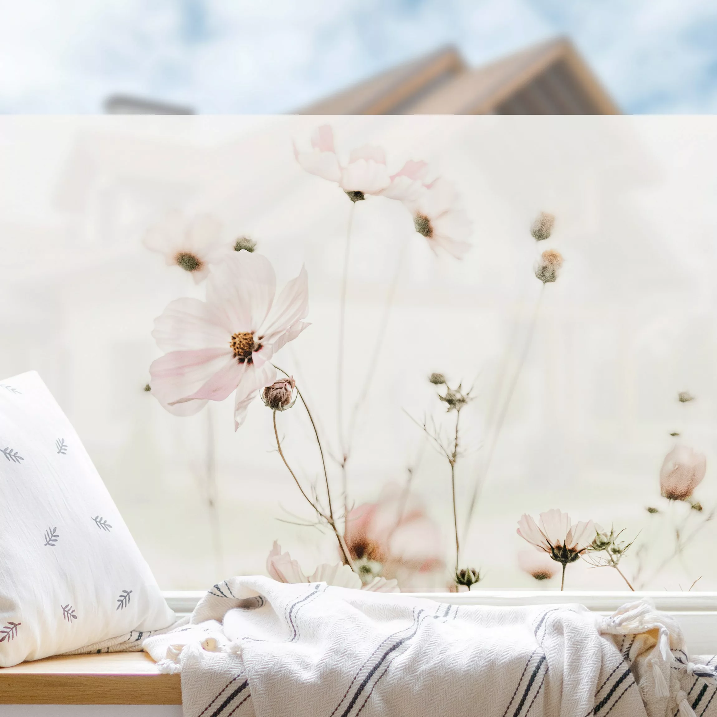 Fensterfolie Cosmea in zarten Cremetönen günstig online kaufen