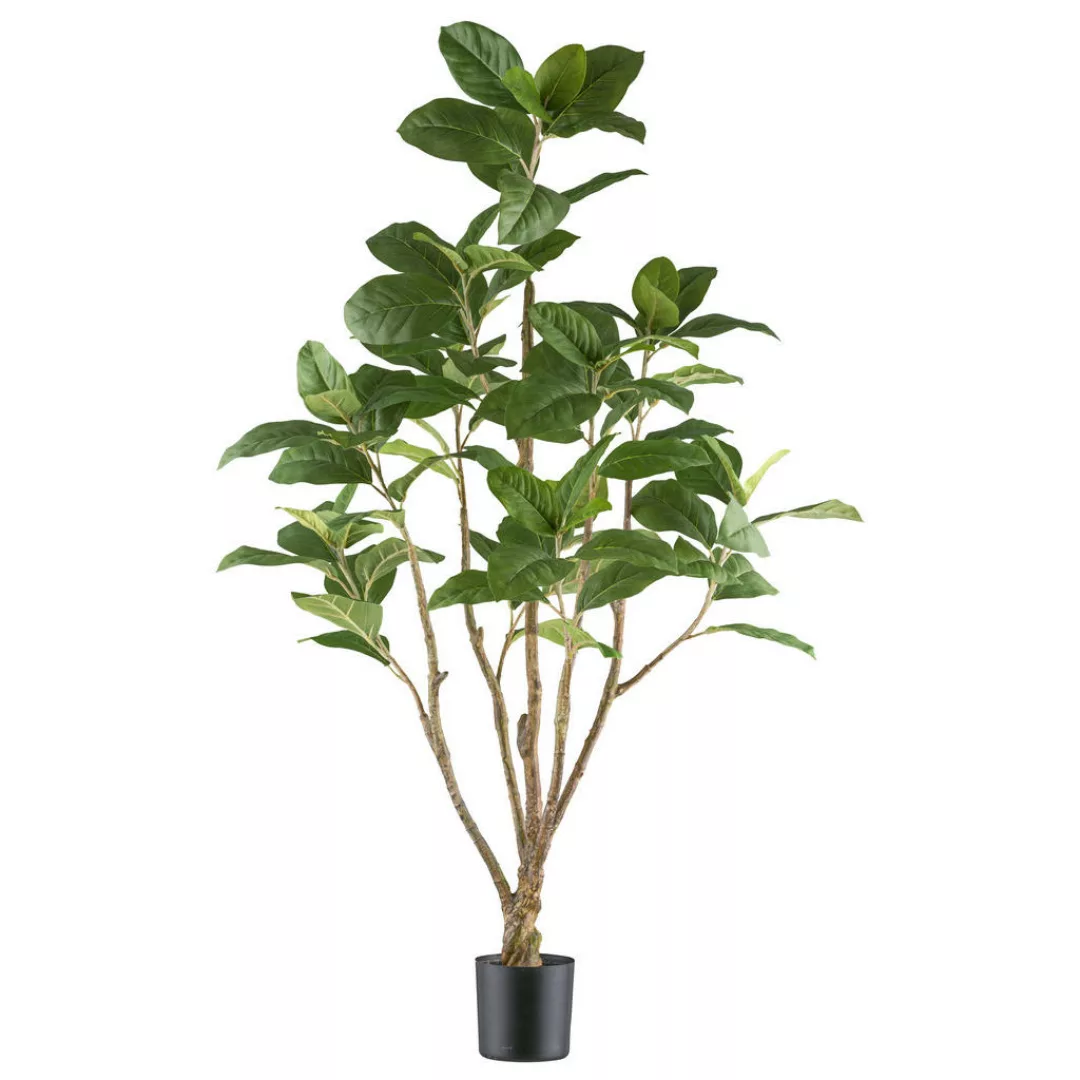 Kunstpflanze Ficus moclame grün Kunststoff B/H/L: ca. 20x120x20 cm günstig online kaufen