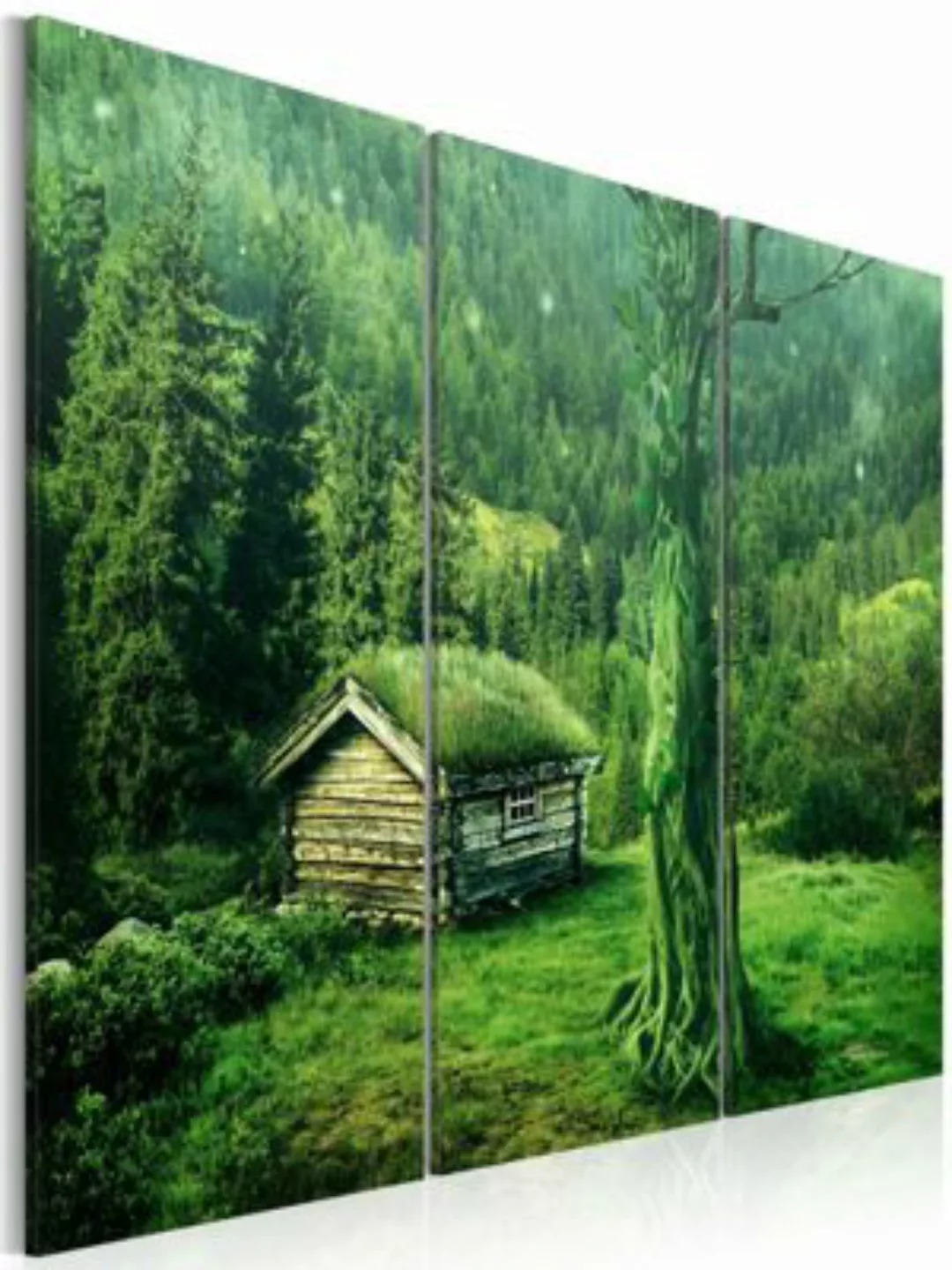 artgeist Wandbild Wald: Ökosystem beige-kombi Gr. 60 x 40 günstig online kaufen
